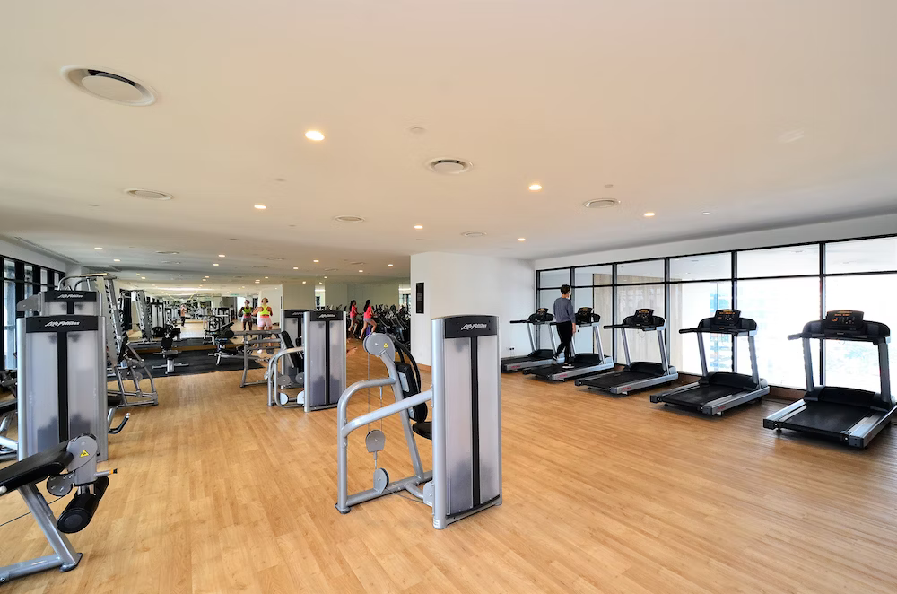 Commercial Gym Guide to Wholesale Fitness Equipment