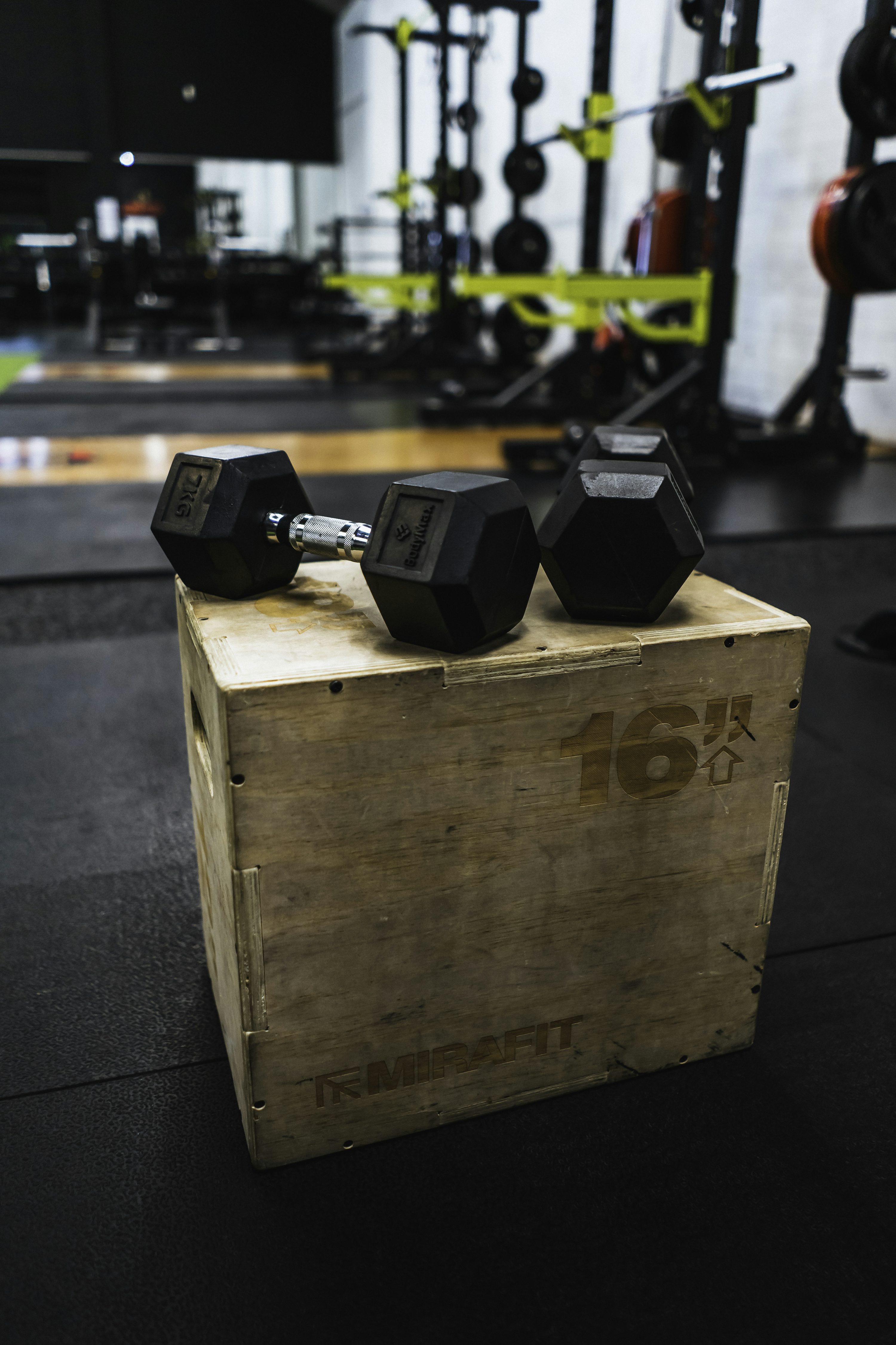 Dumbbell-Only-Muscle-Building-Tips-and-Plan