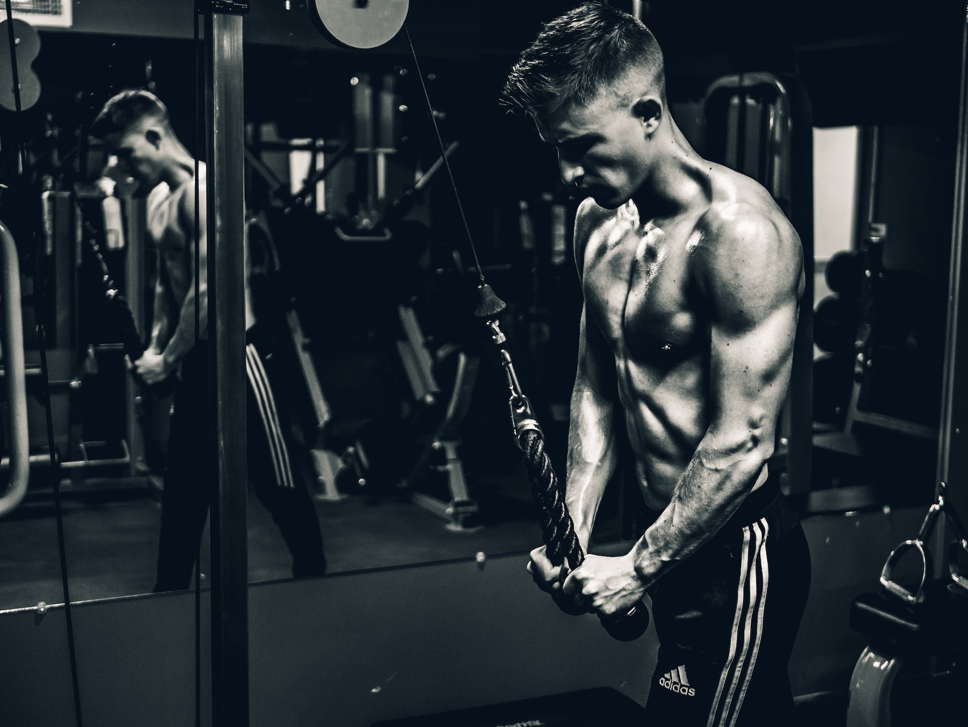 Top 5 Cable Machines