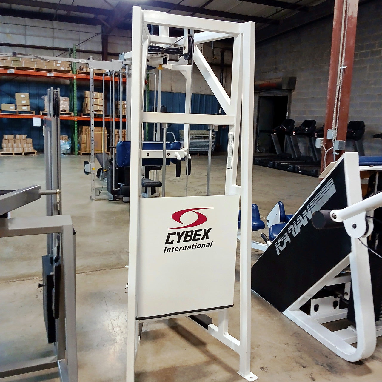 Cybex VR Rotary Torso - 4201