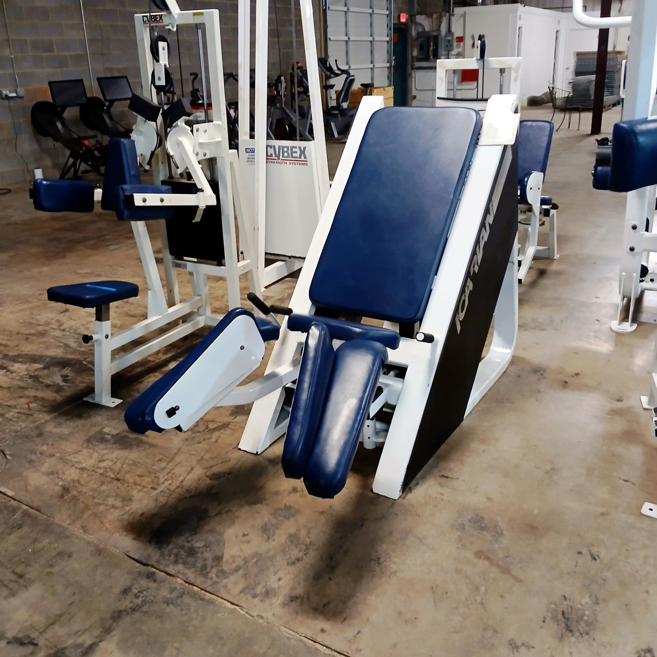 Icarian Hip Adductor