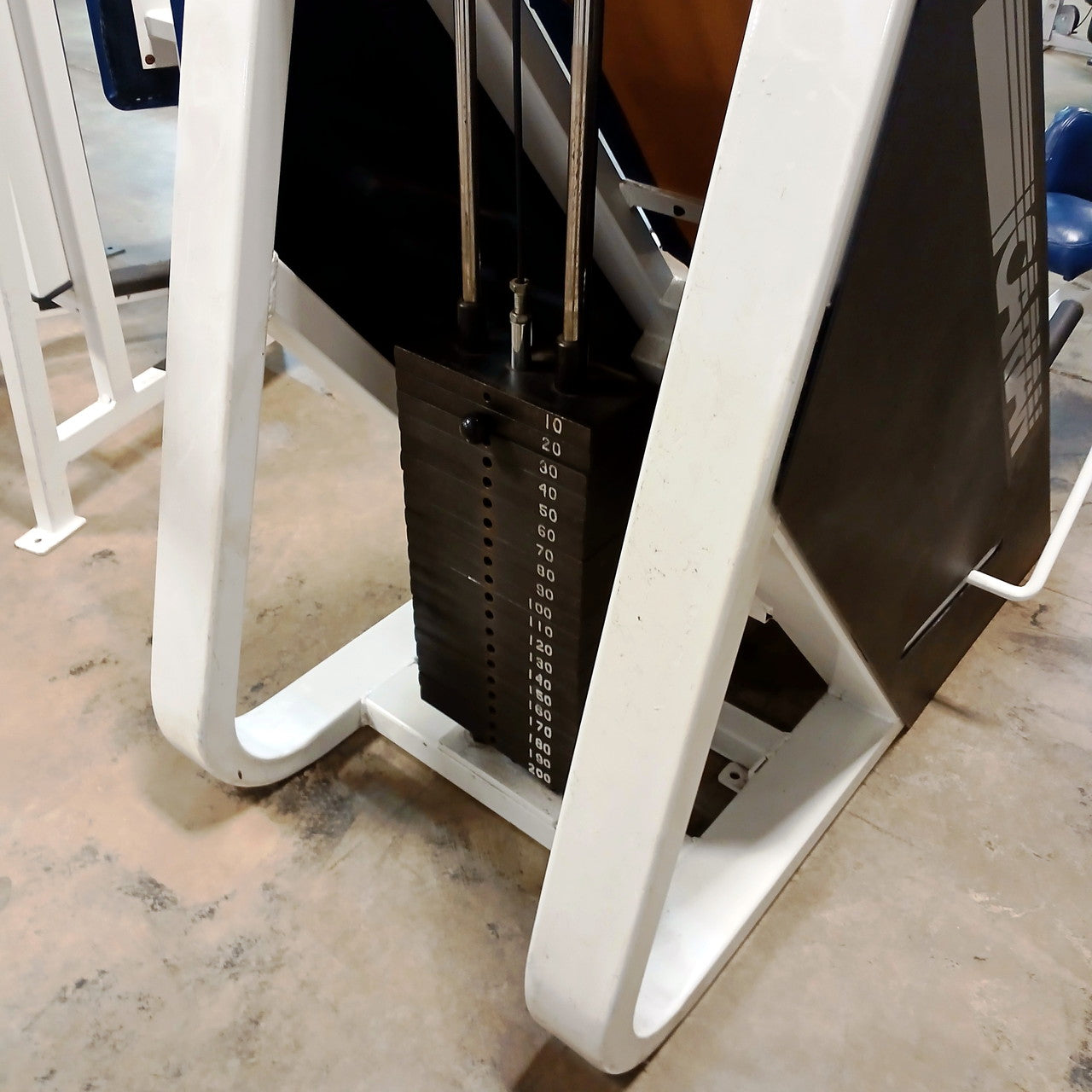 Icarian Hip Adductor