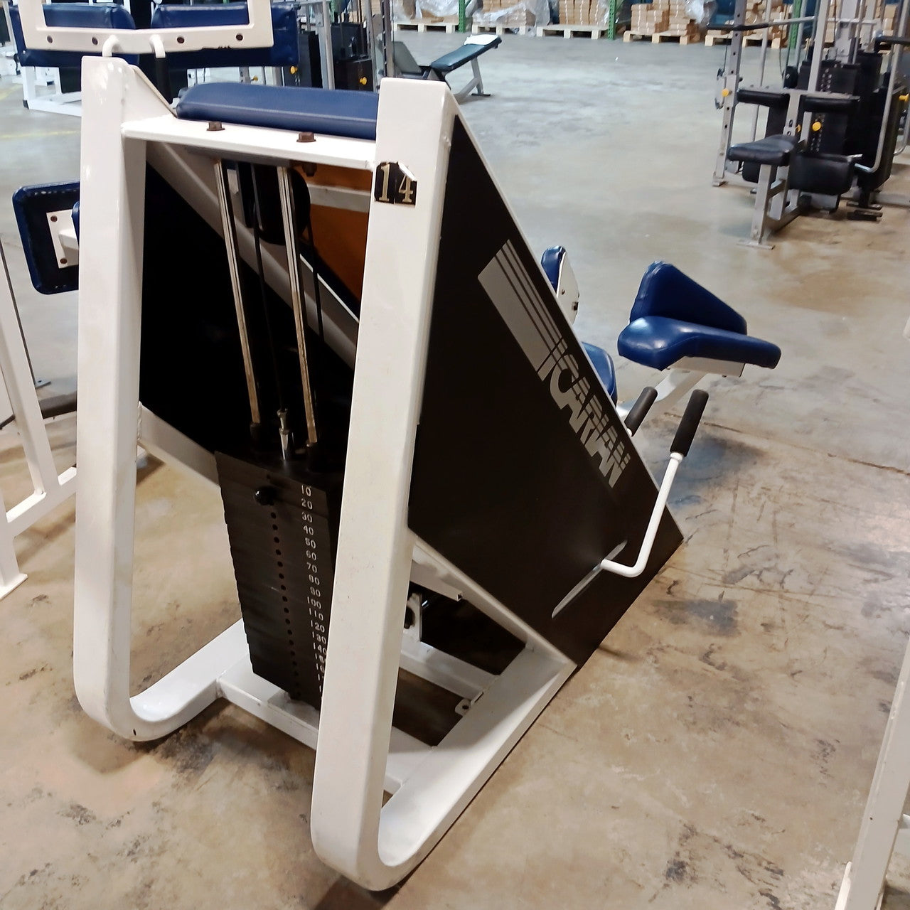 Icarian Hip Adductor