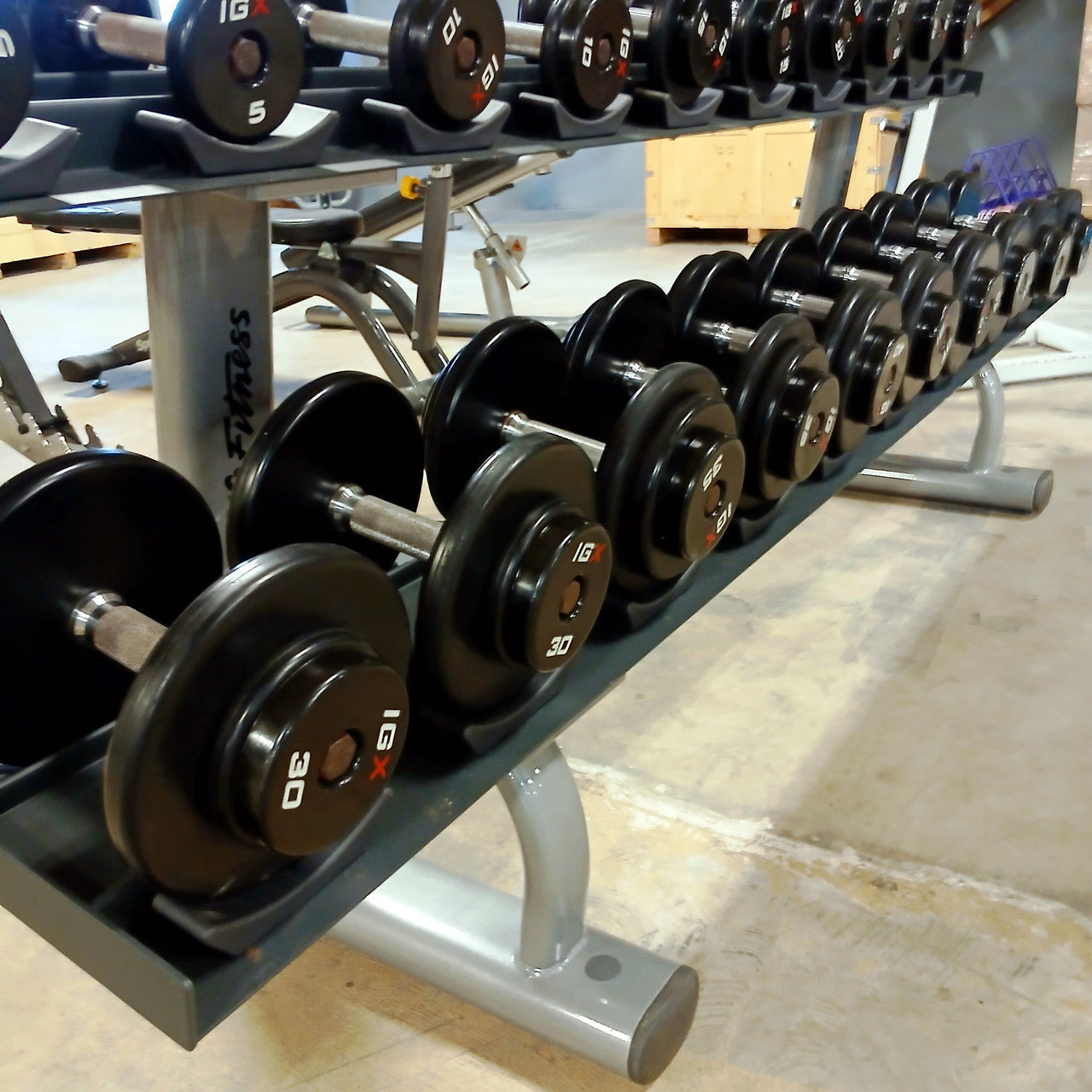 IGX Dumbbell Set 5–50 lbs with Rack – Complete Strength Training Set