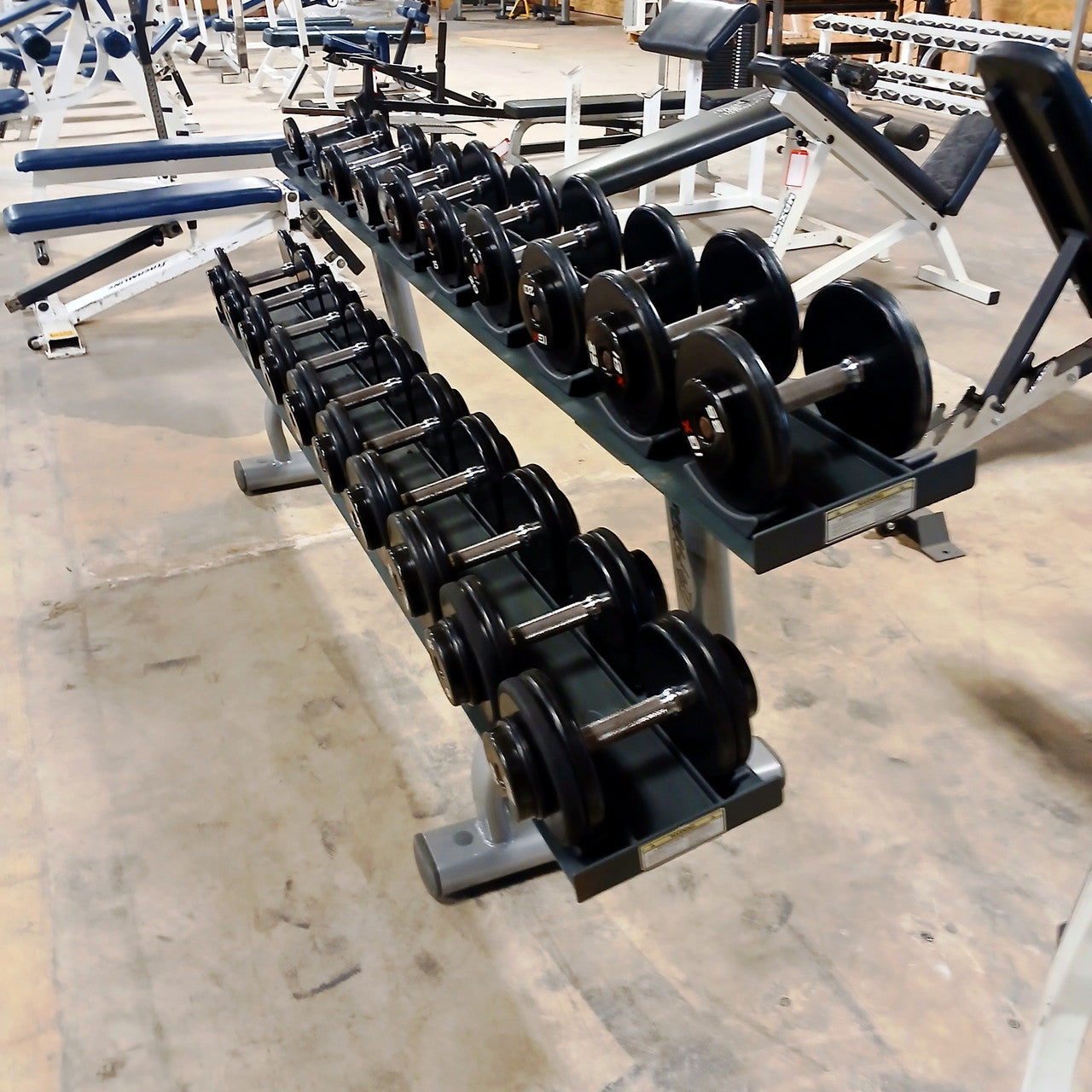 IGX Dumbbell Set 5–50 lbs with Rack – Complete Strength Training Set