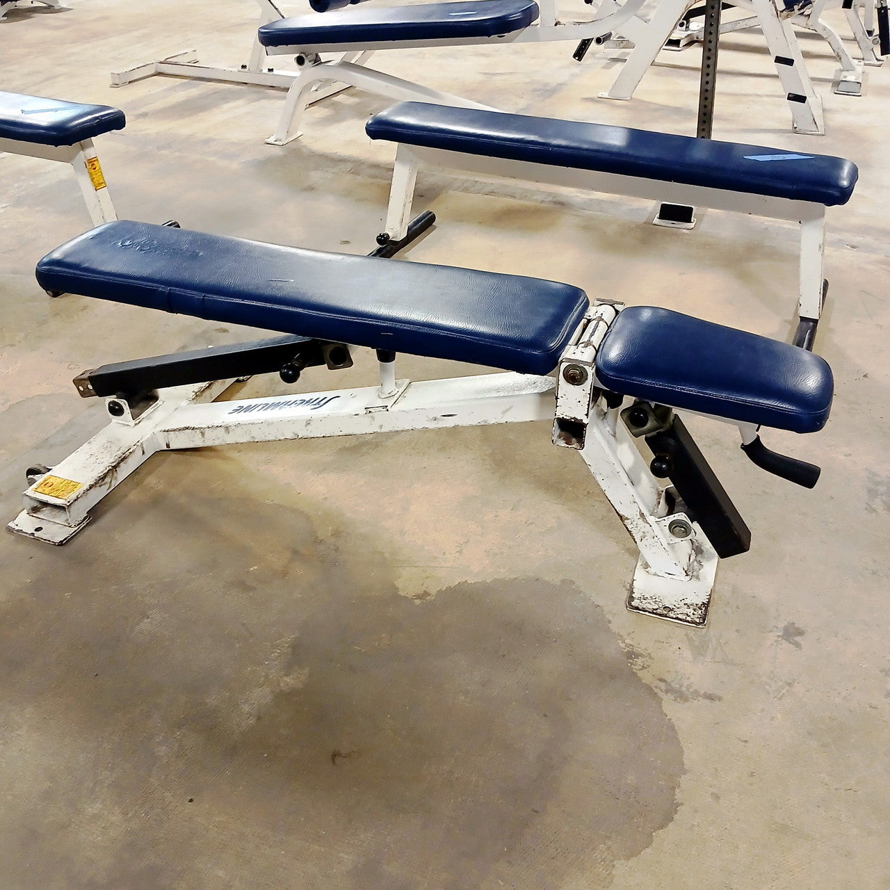 Streamline Flat to Incline Bench