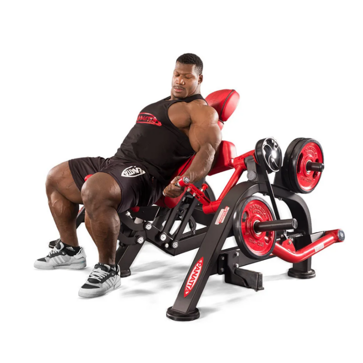 Panatta FreeWeight Special Alternate Arm Curl