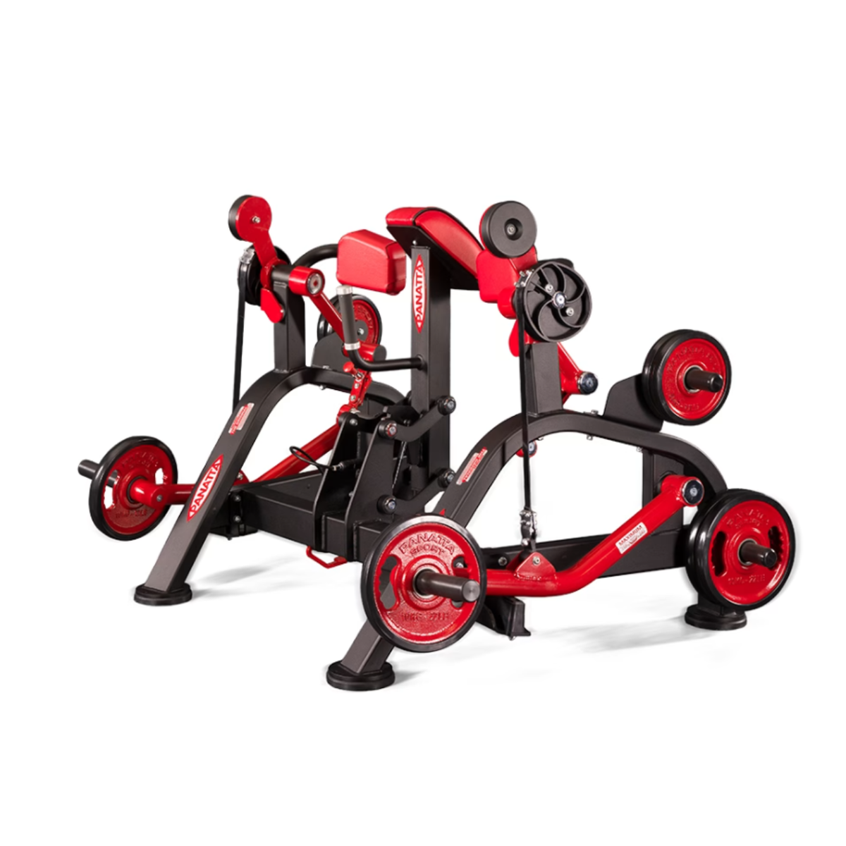 Panatta FreeWeight Special Alternate Preacher Curl Machine