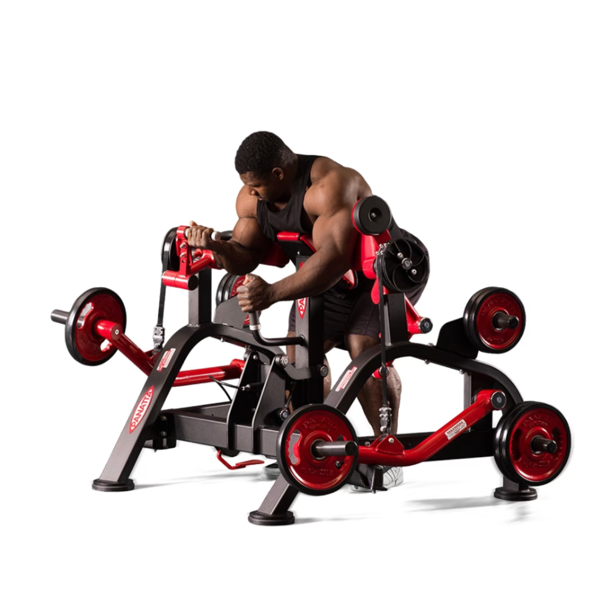 Panatta FreeWeight Special Alternate Preacher Curl Machine
