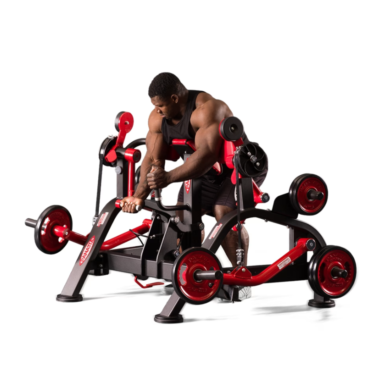 Panatta FreeWeight Special Alternate Preacher Curl Machine