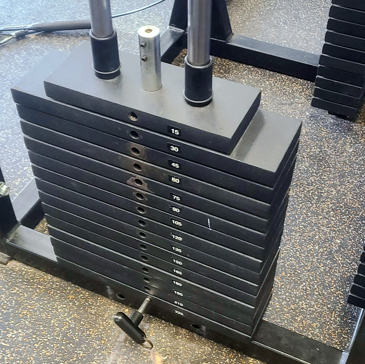 ProMaxima Multi Station