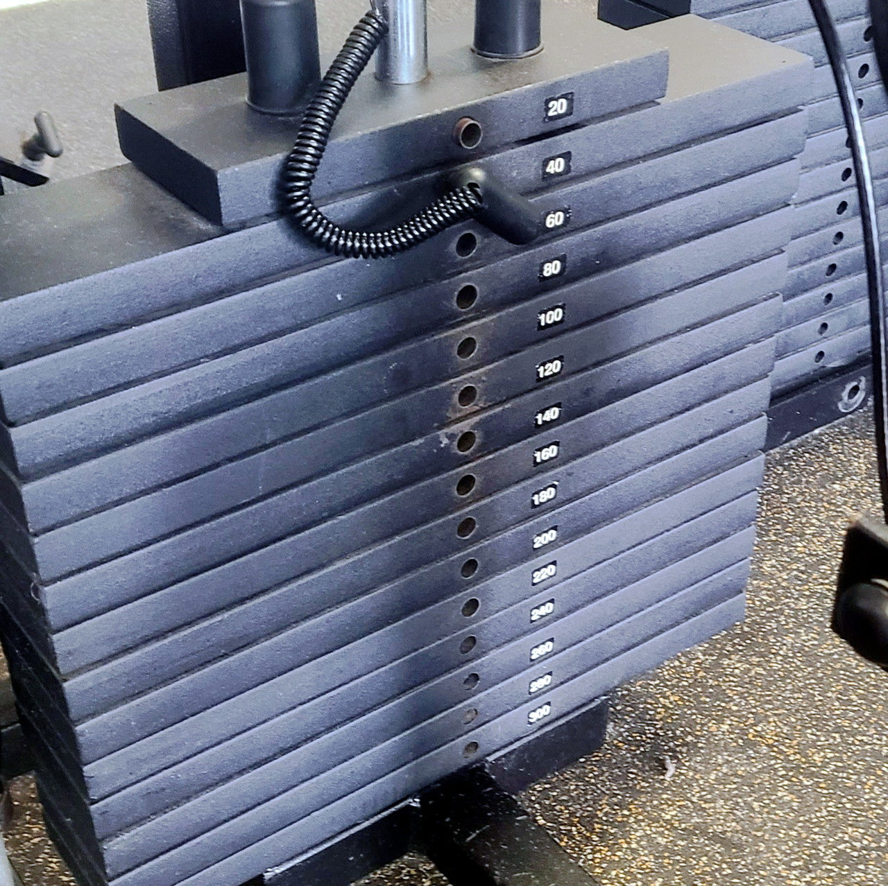 ProMaxima Multi Station
