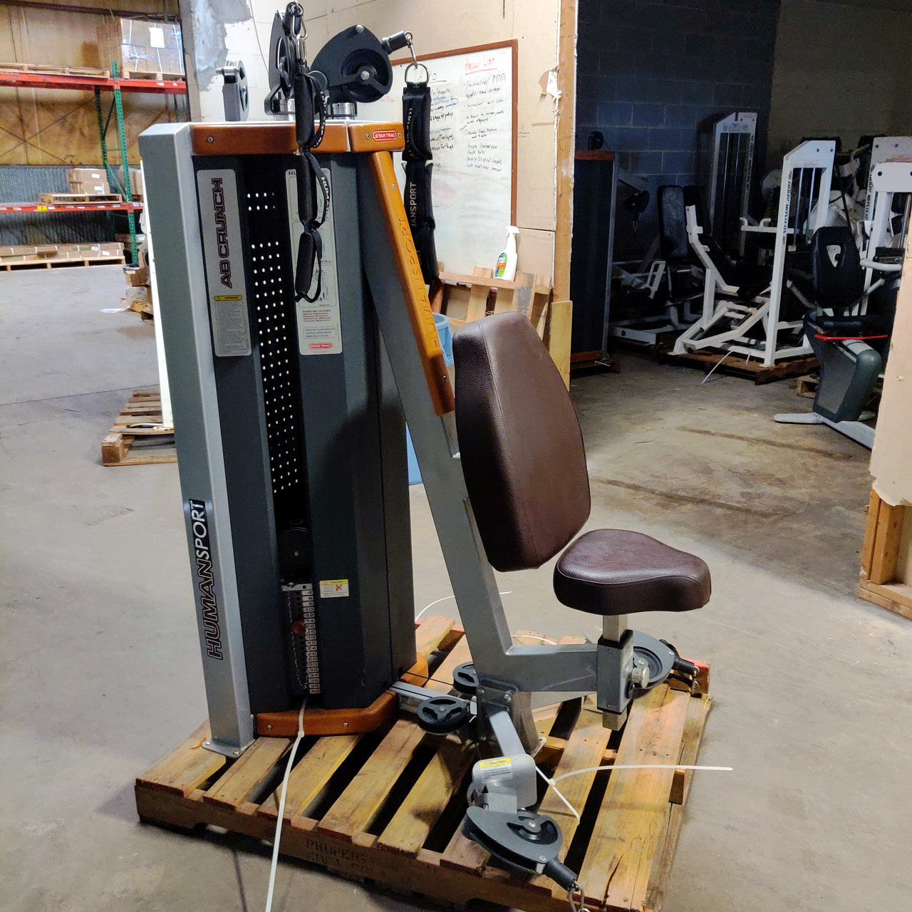 Star Trac Humansport Bicep Curl/Ab Crunch Combo