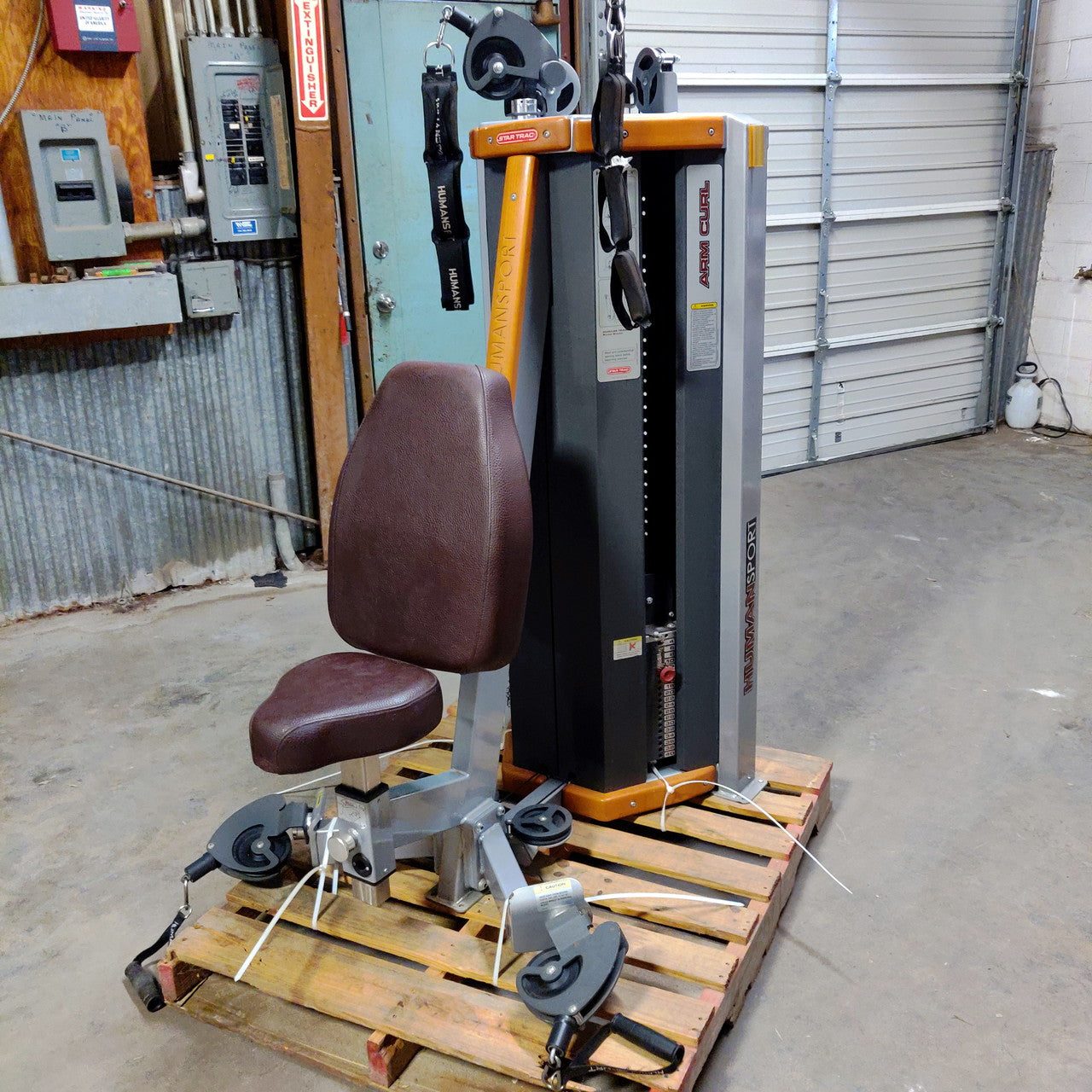 Star Trac Humansport Bicep Curl/Ab Crunch Combo