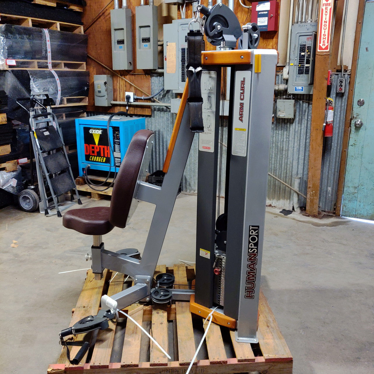 Star Trac Humansport Bicep Curl/Ab Crunch Combo