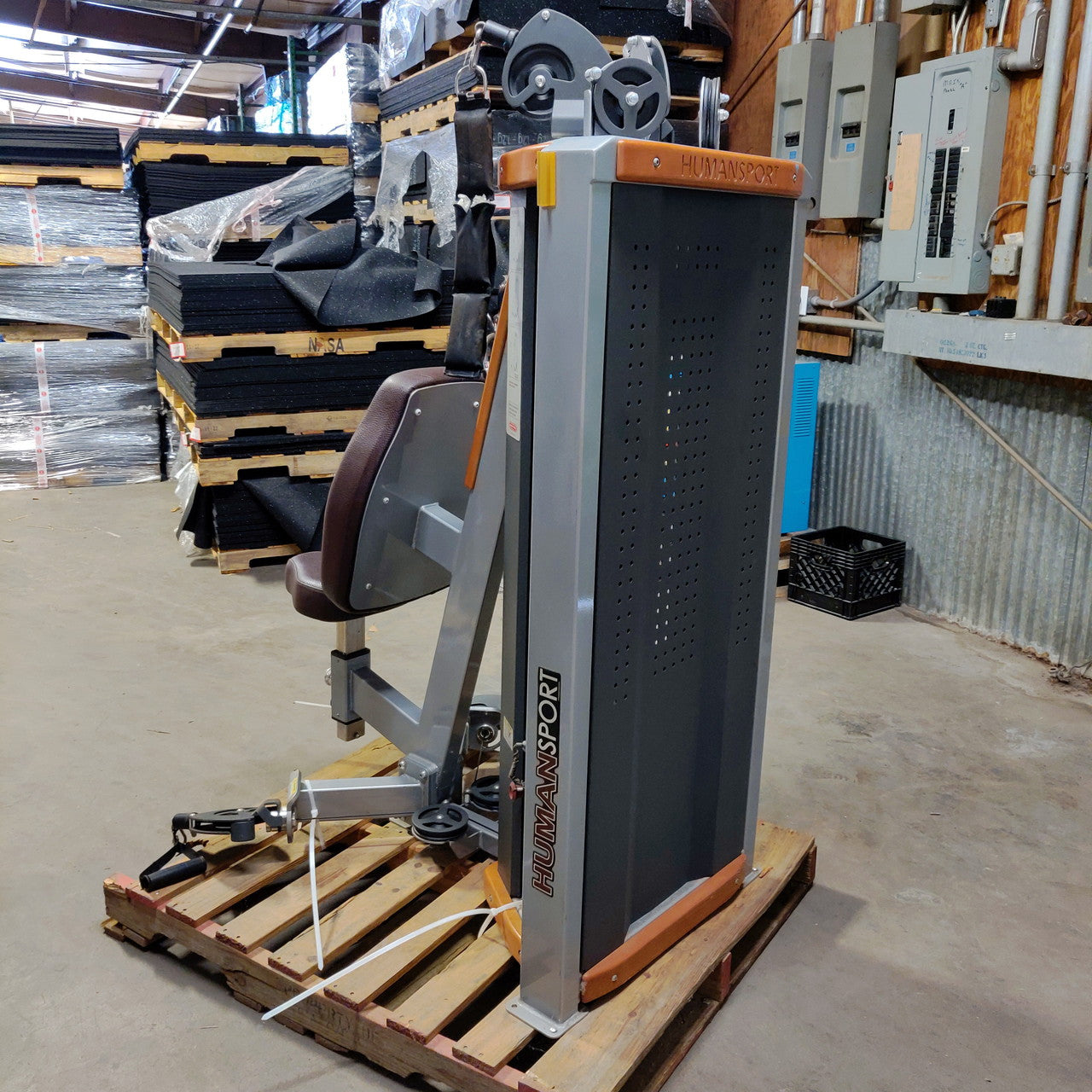 Star Trac Humansport Bicep Curl/Ab Crunch Combo