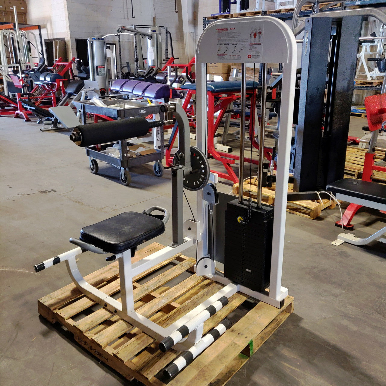 Cybex Ab/Back Combo Strength Machine