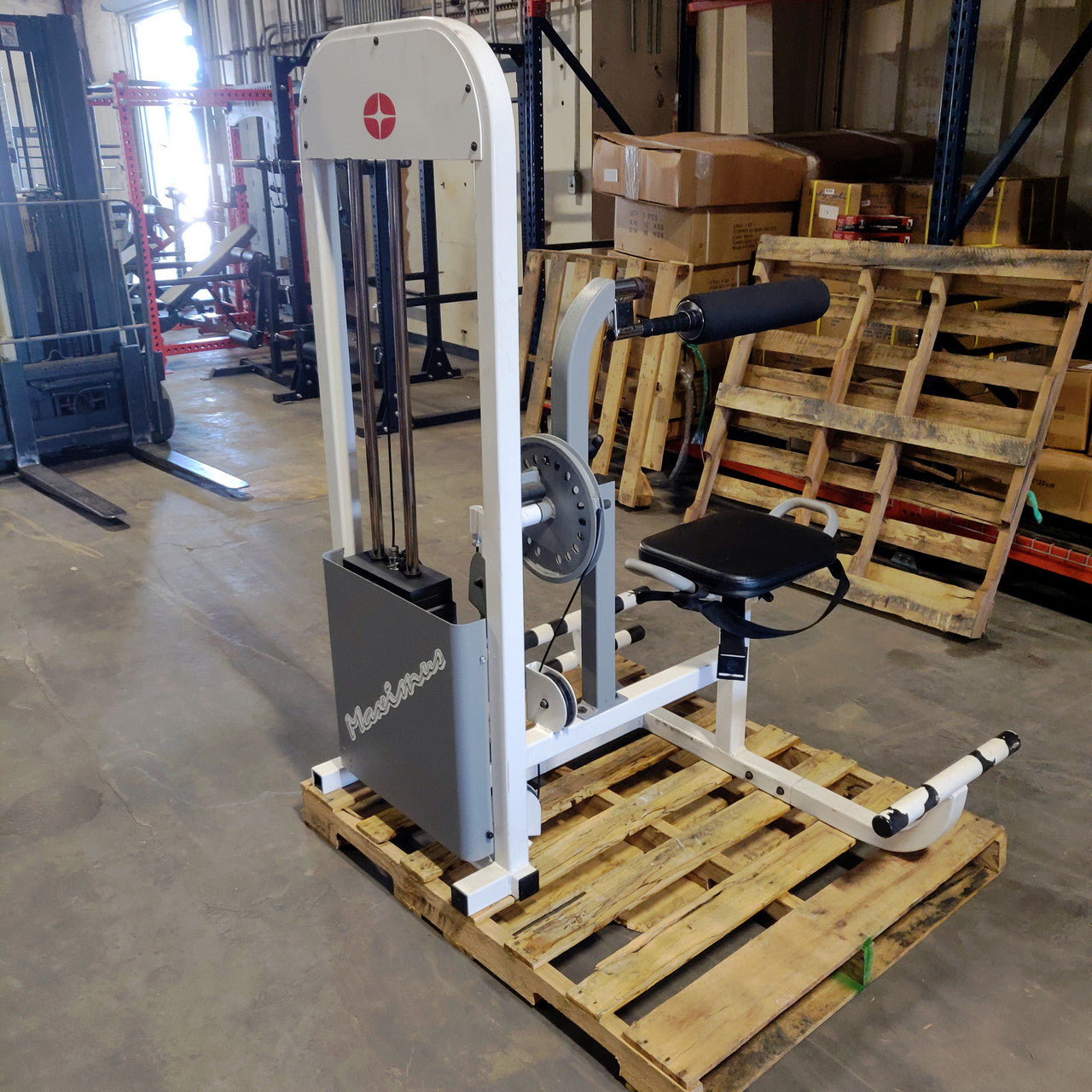 Cybex Ab/Back Combo Strength Machine