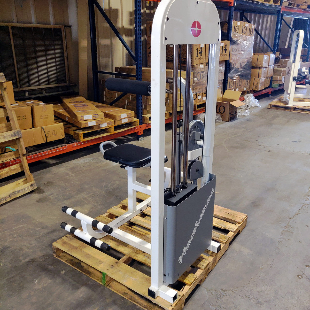 Cybex Ab/Back Combo Strength Machine