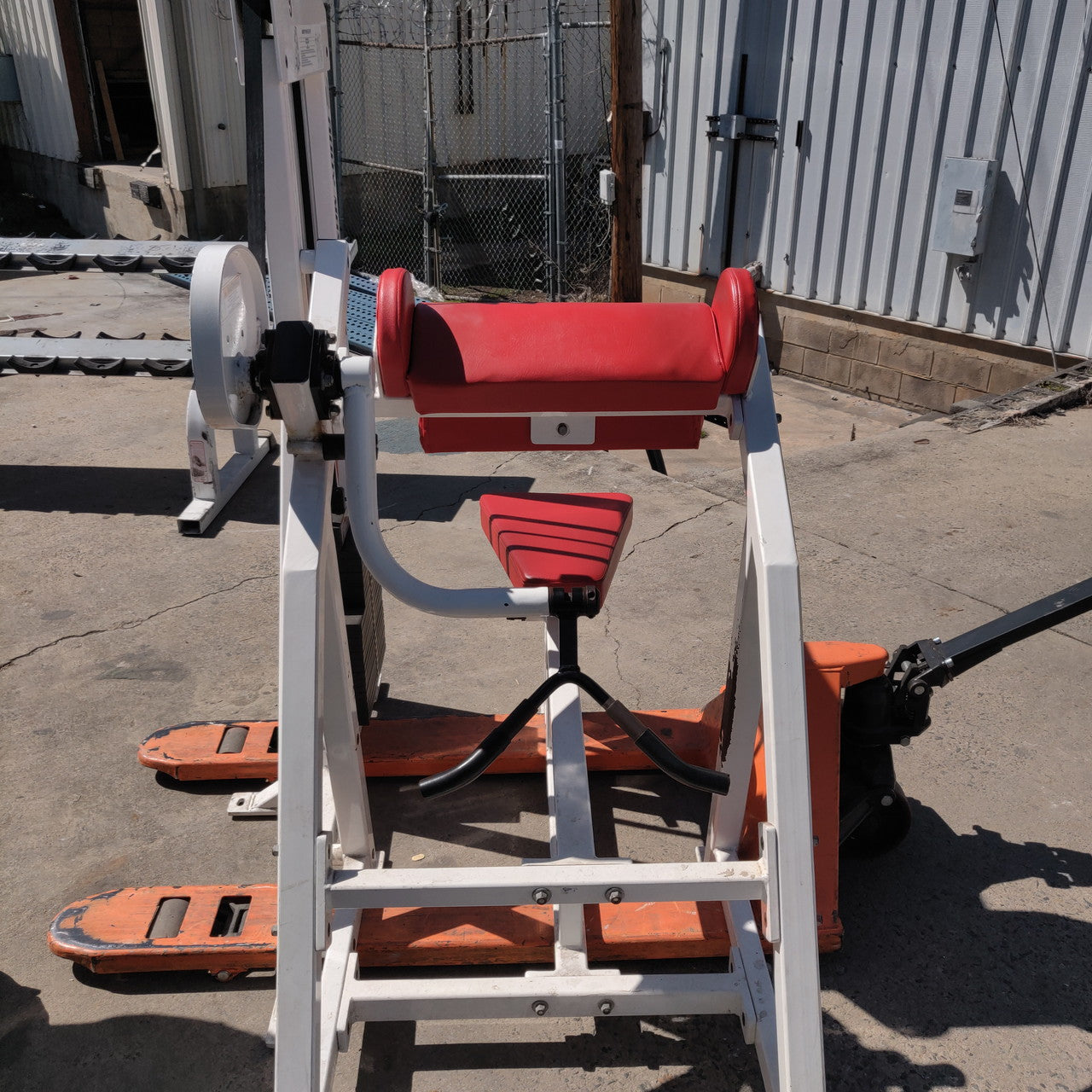 Bodymasters 410 Arm/Bicep Curl