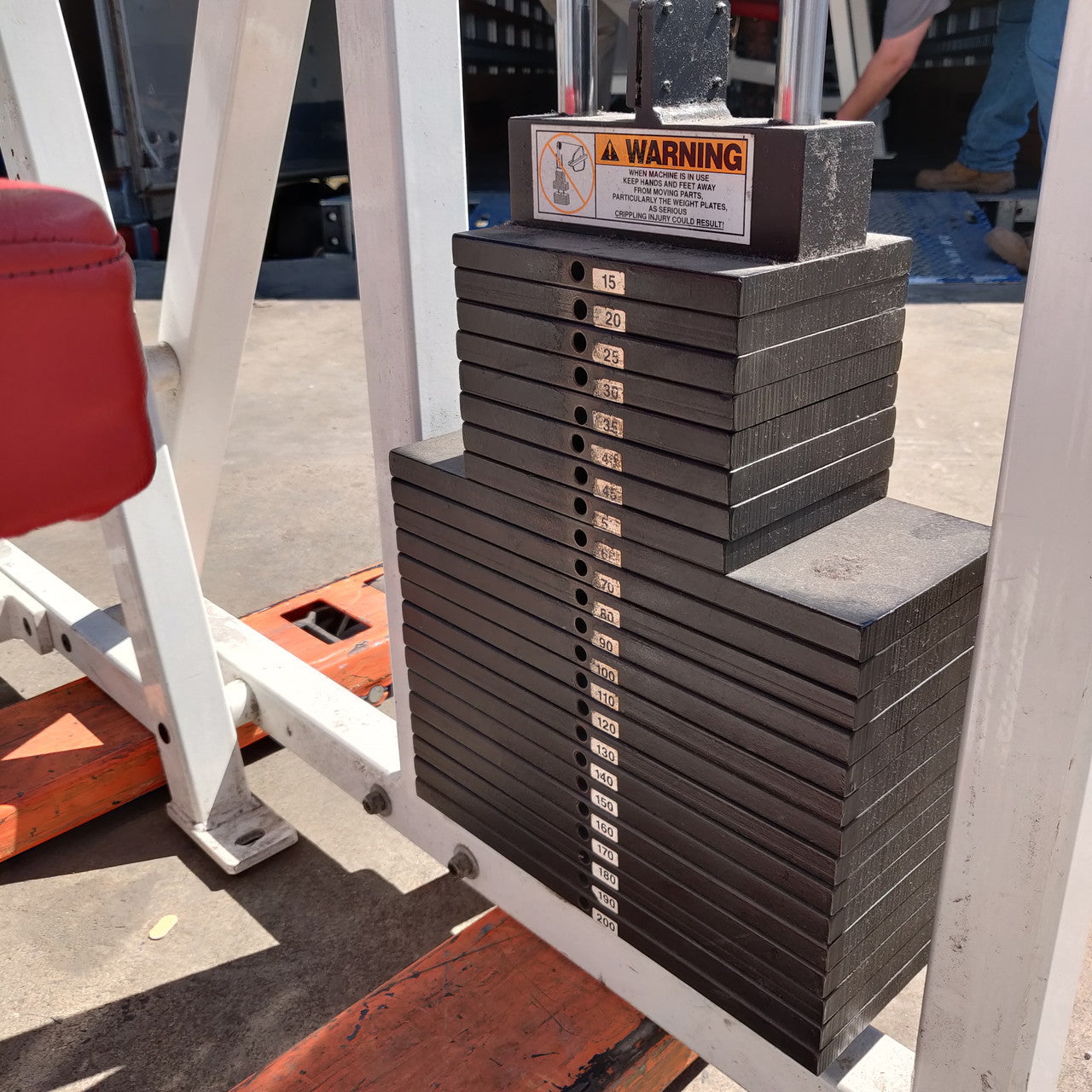 Bodymasters 410 Arm/Bicep Curl