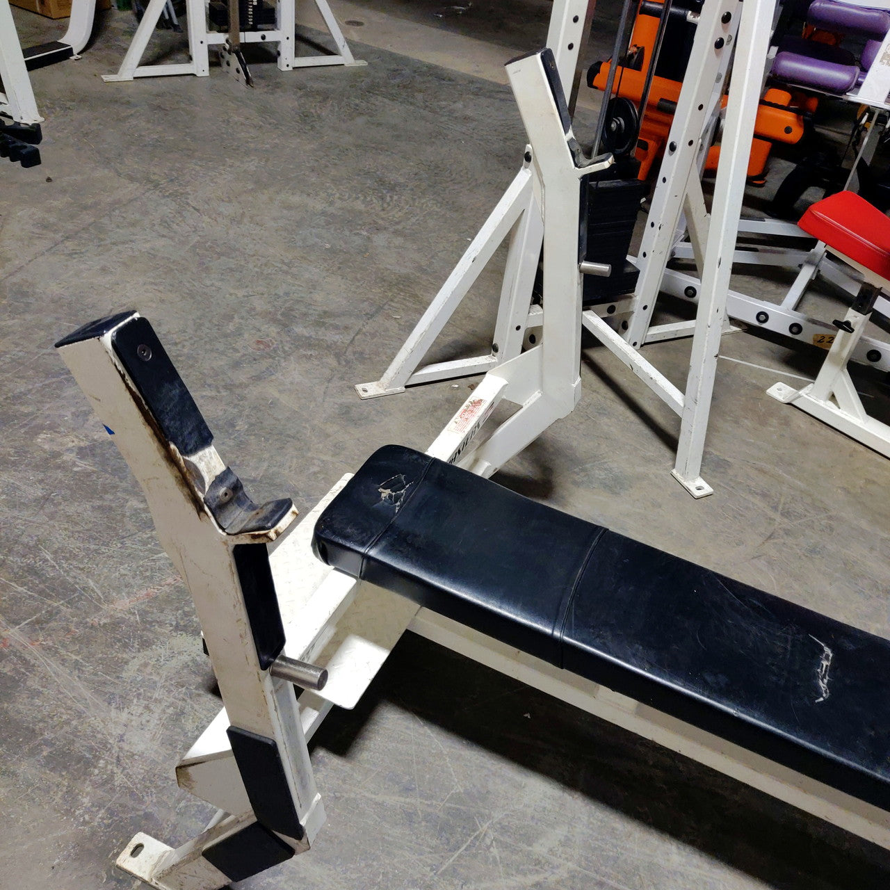 Bodymasters Benchpress Setup