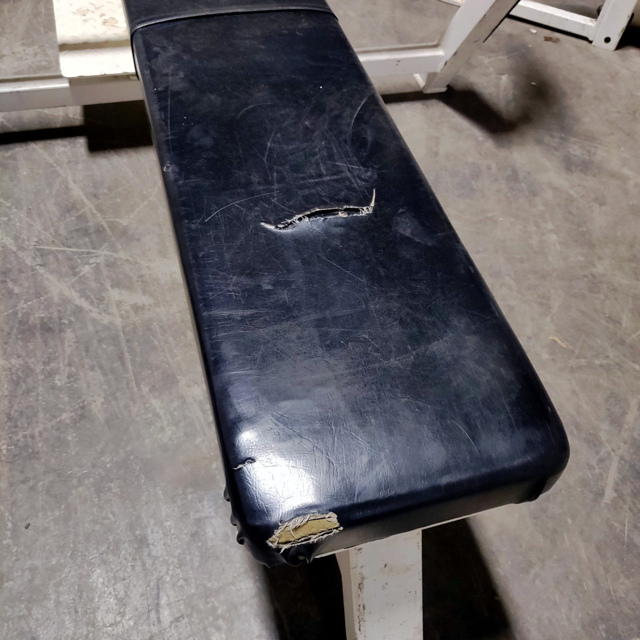 Bodymasters Benchpress Setup