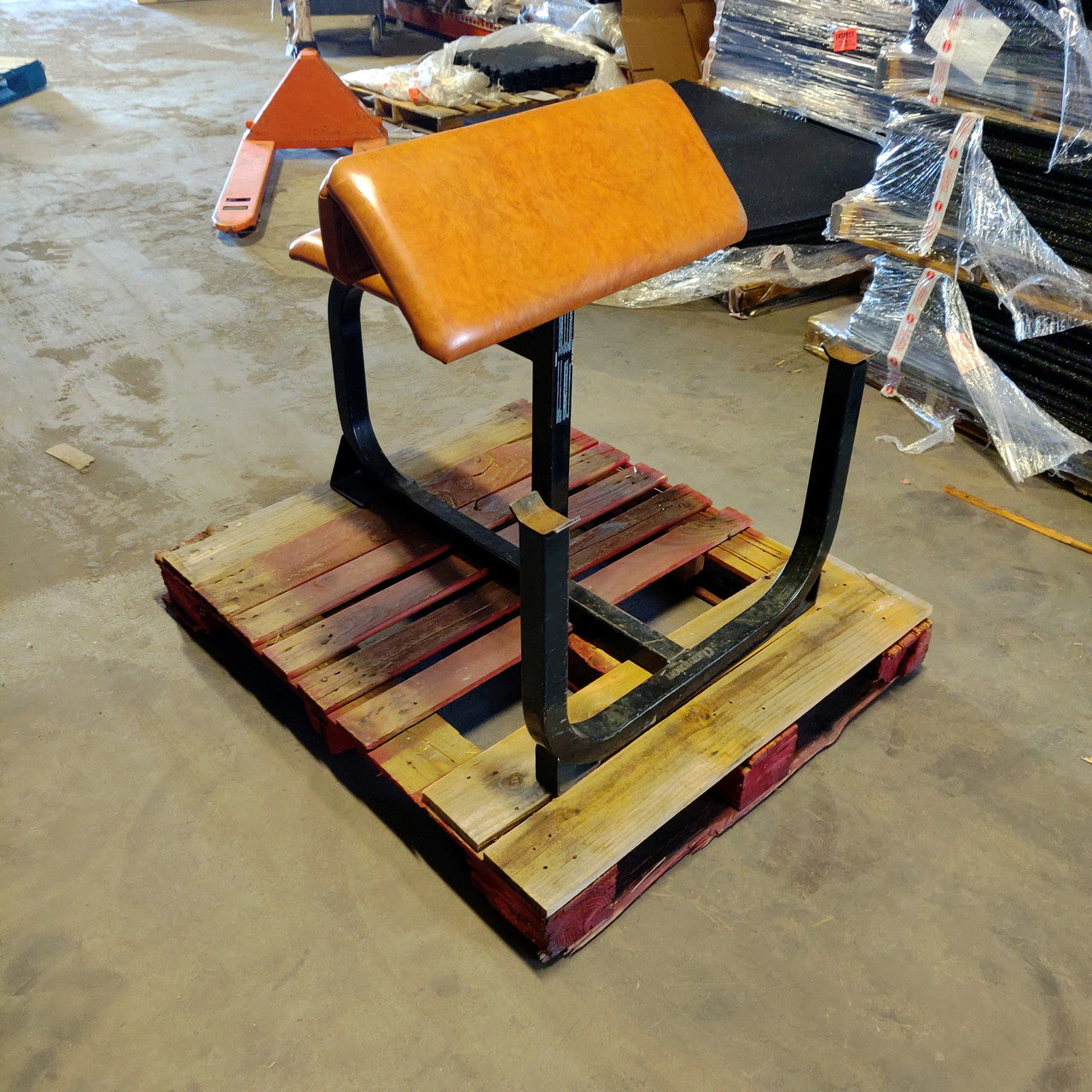 Champion Preacher Curl Bench