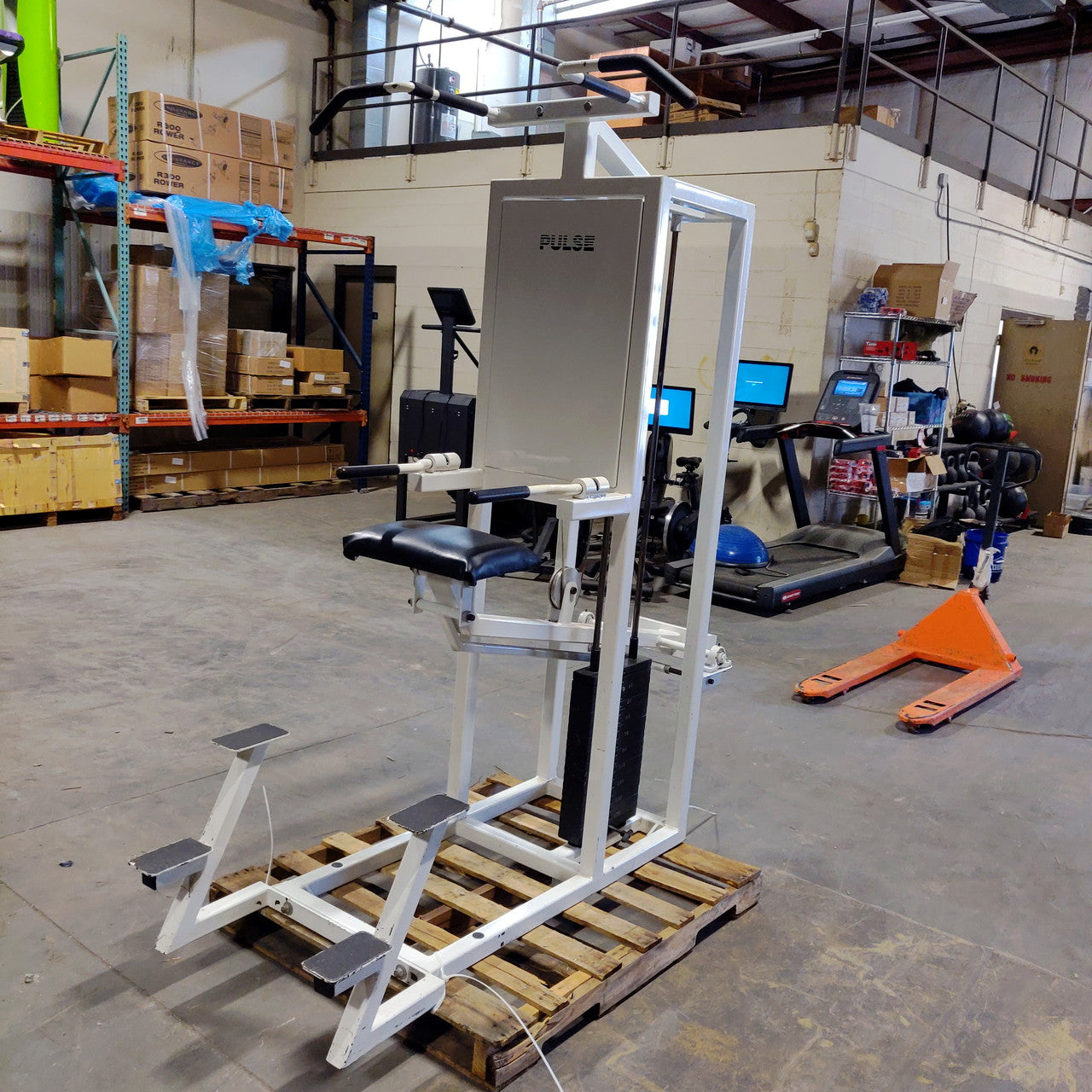 Pulse Assisted Dip/Chin-Up Combo