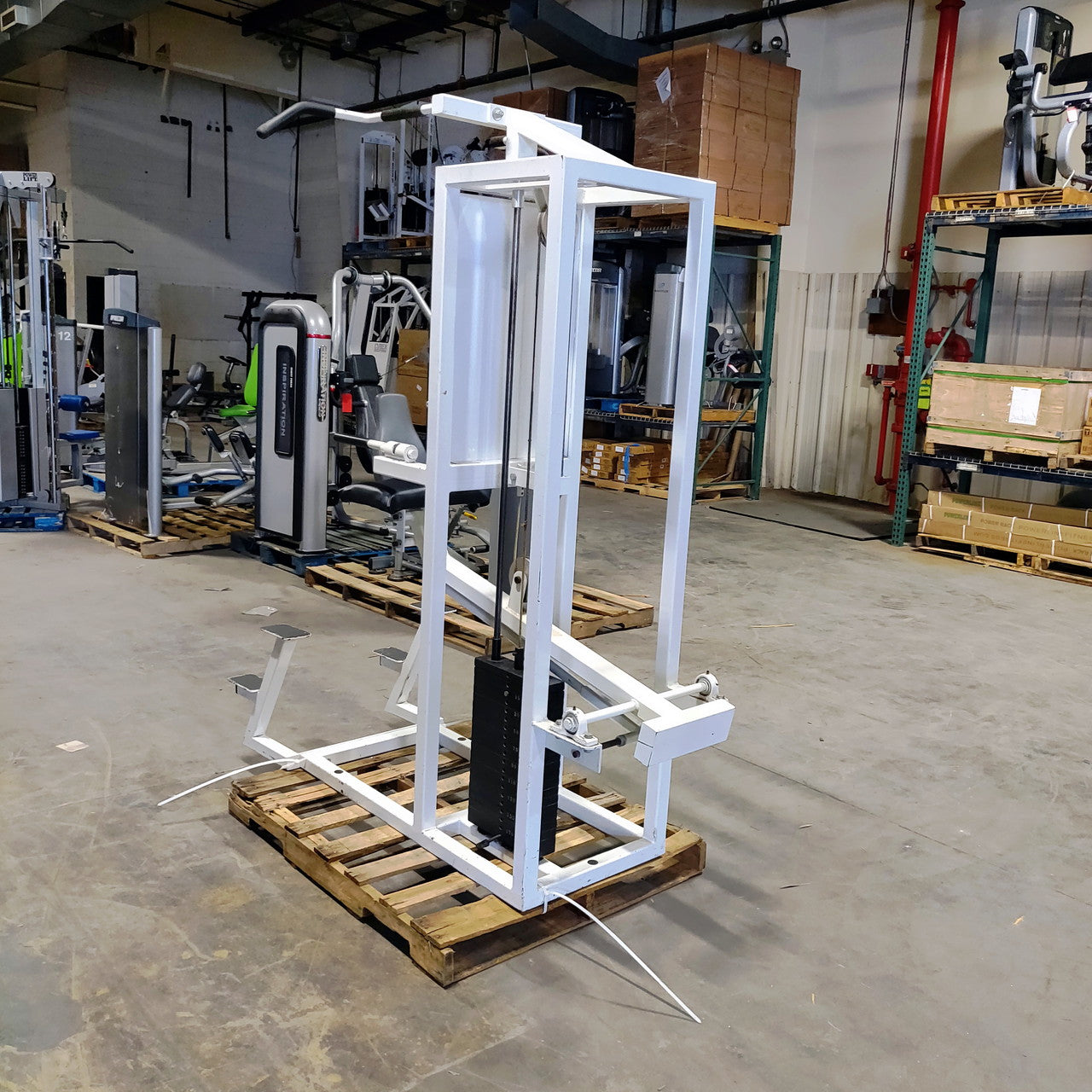 Pulse Assisted Dip/Chin-Up Combo