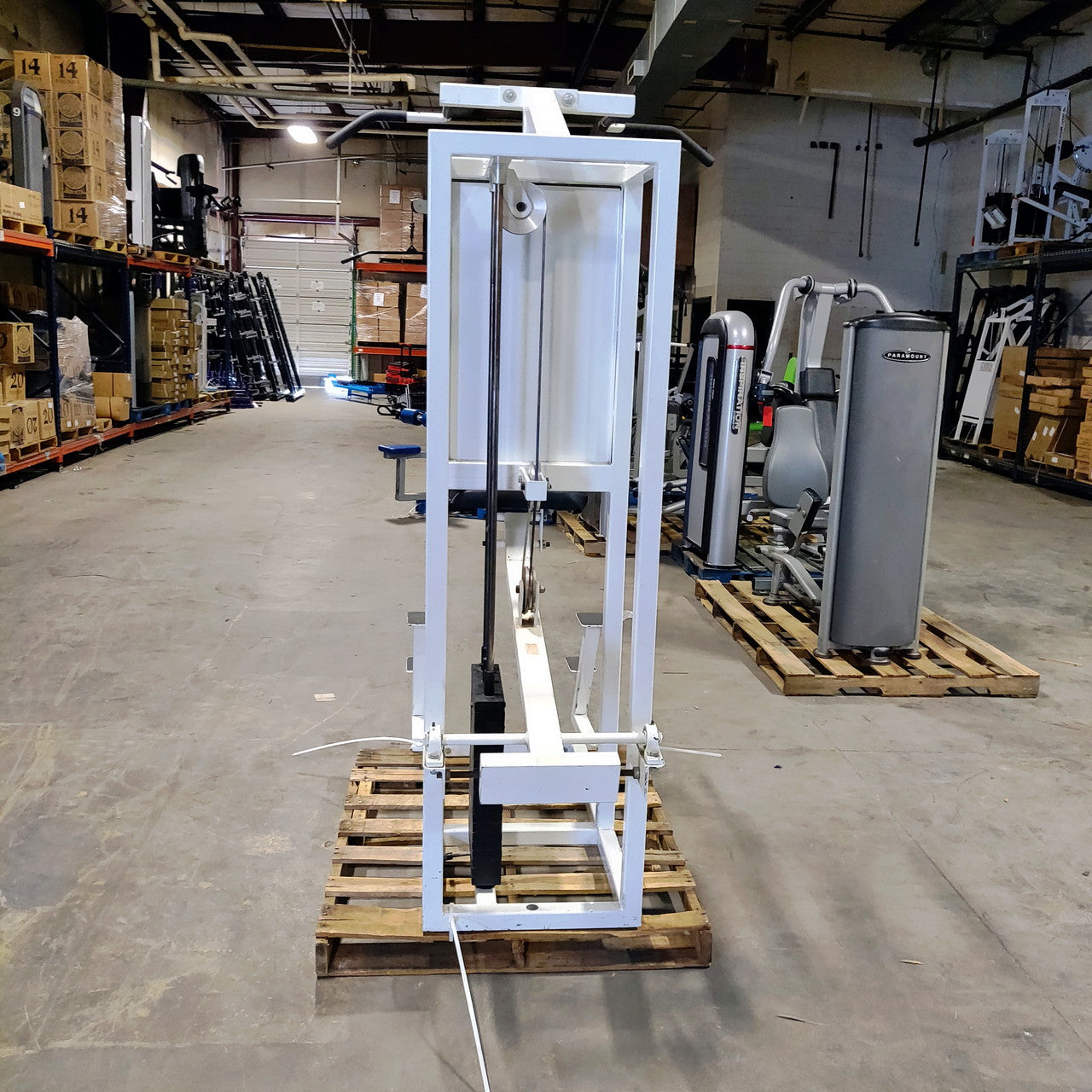 Pulse Assisted Dip/Chin-Up Combo