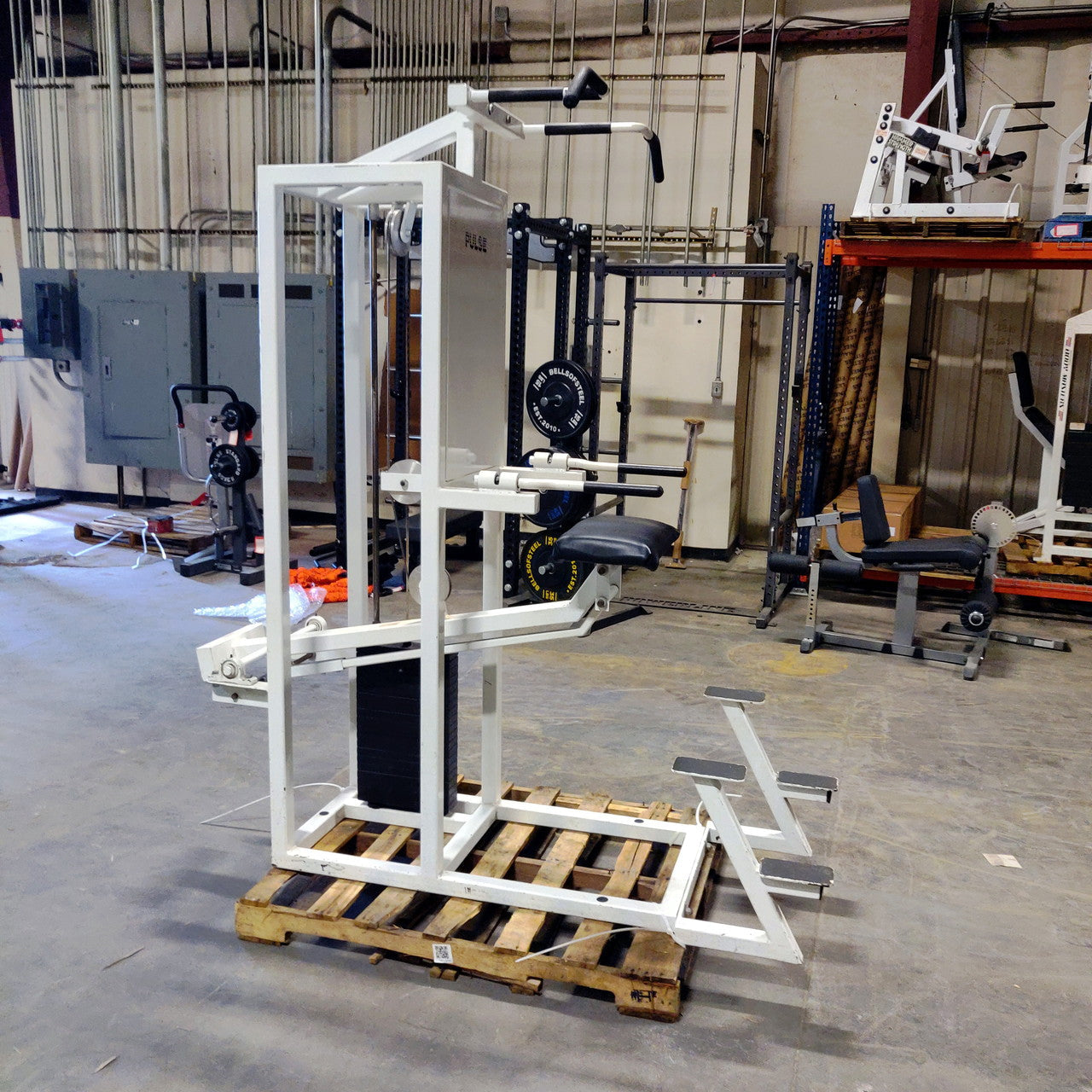 Pulse Assisted Dip/Chin-Up Combo