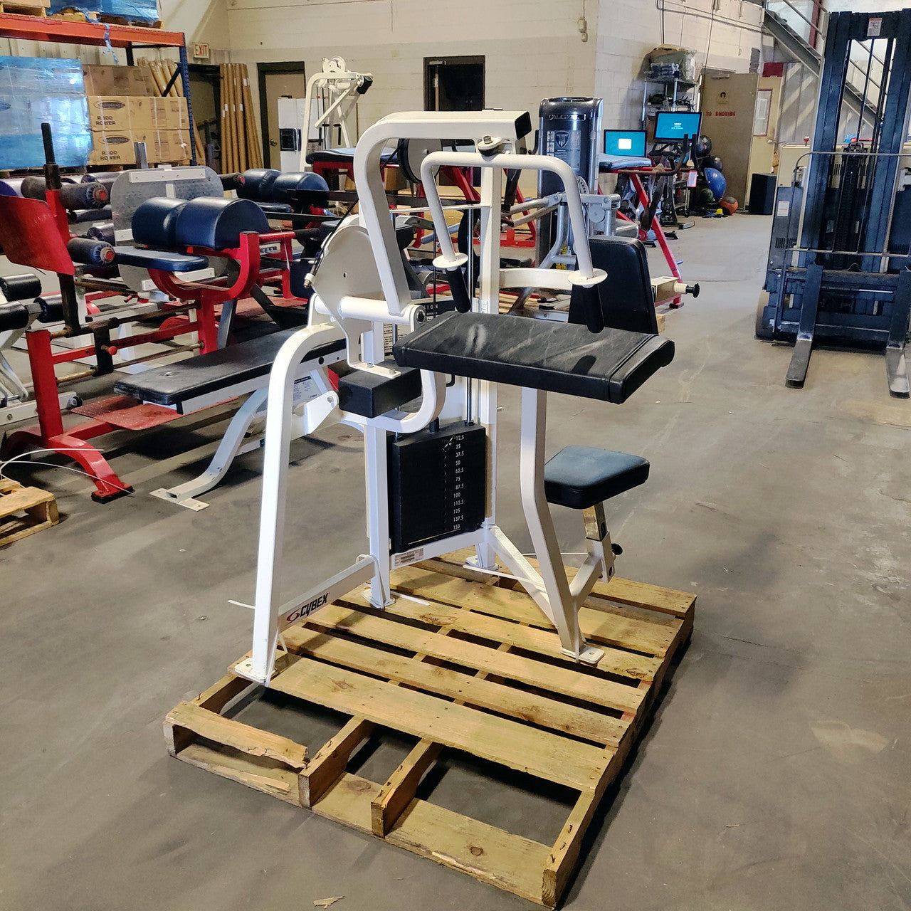 cybex tricep machine Cybex Tricep Extension Commercial Grade