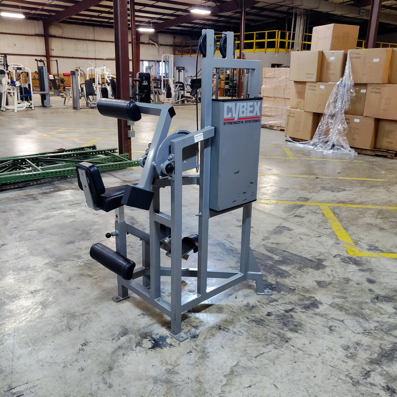 Cybex Classic Abdominal