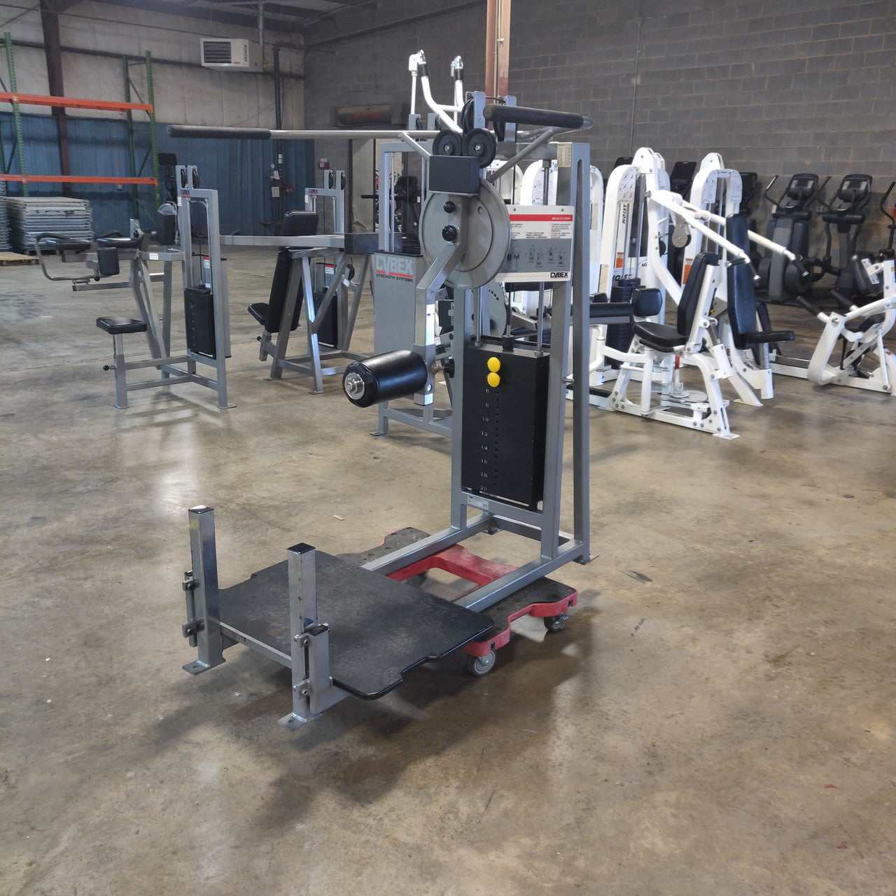 Rare Cybex Classic Selectorized Multi Hip