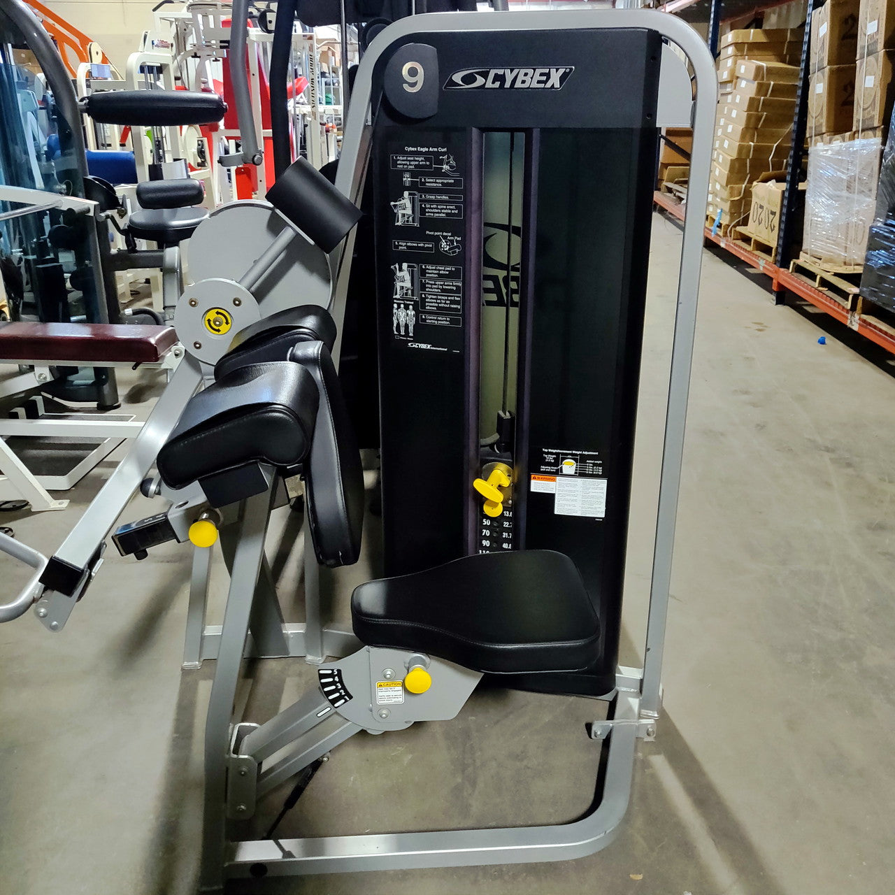 cybex eagle arm curl Cybex Eagle Arm / Bicep Curl 11070