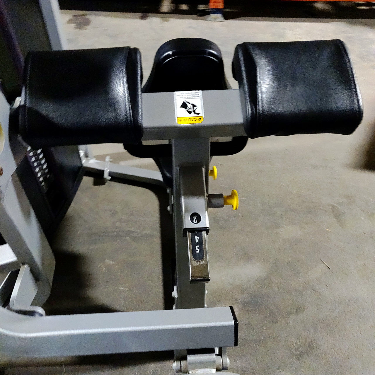 Cybex Eagle Arm / Bicep Curl 11070