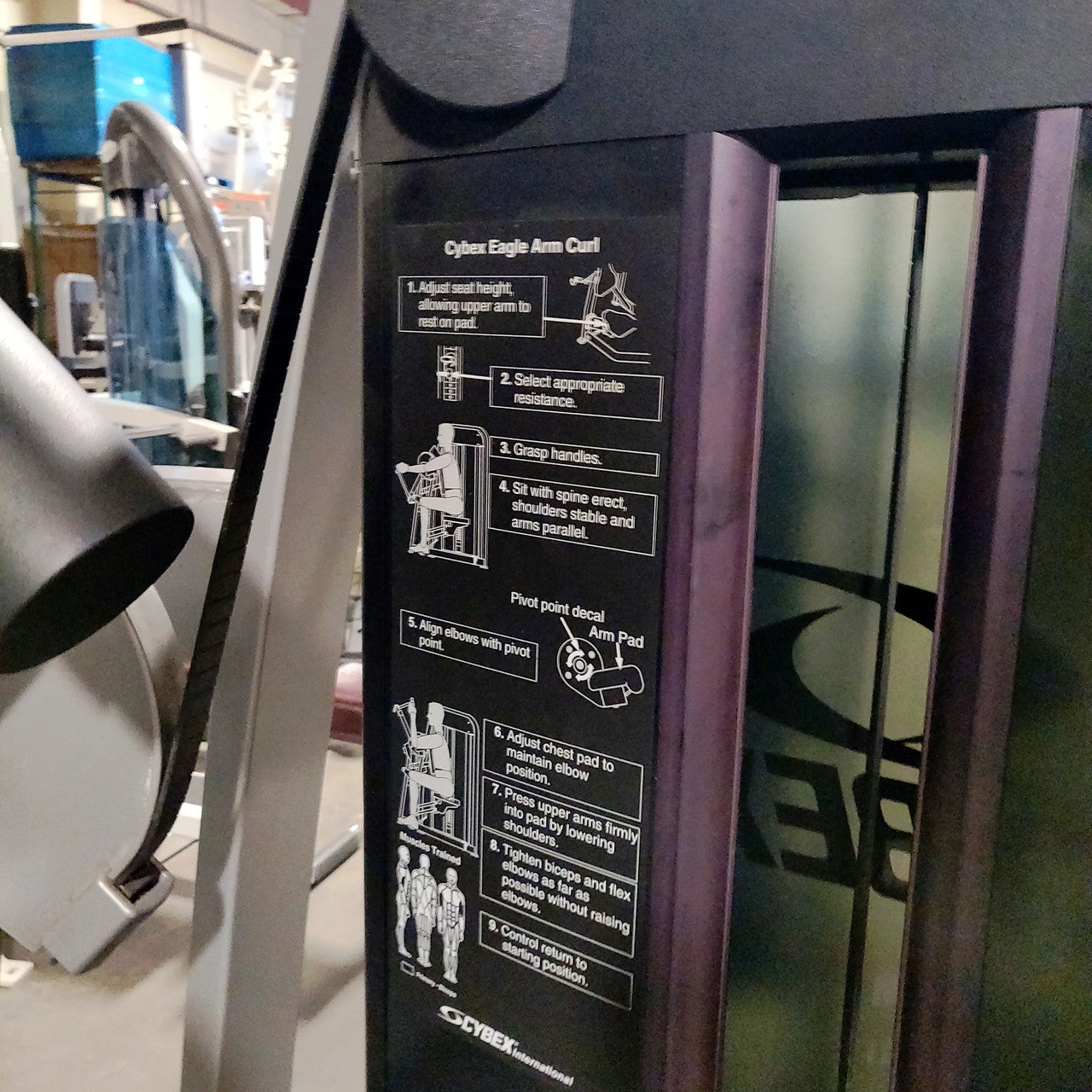 Cybex Eagle Arm / Bicep Curl 11070