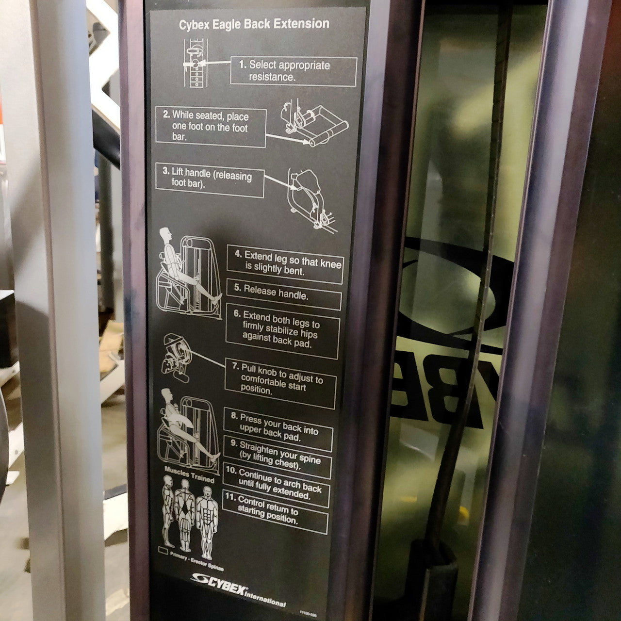 Cybex Eagle Back Extension 11101