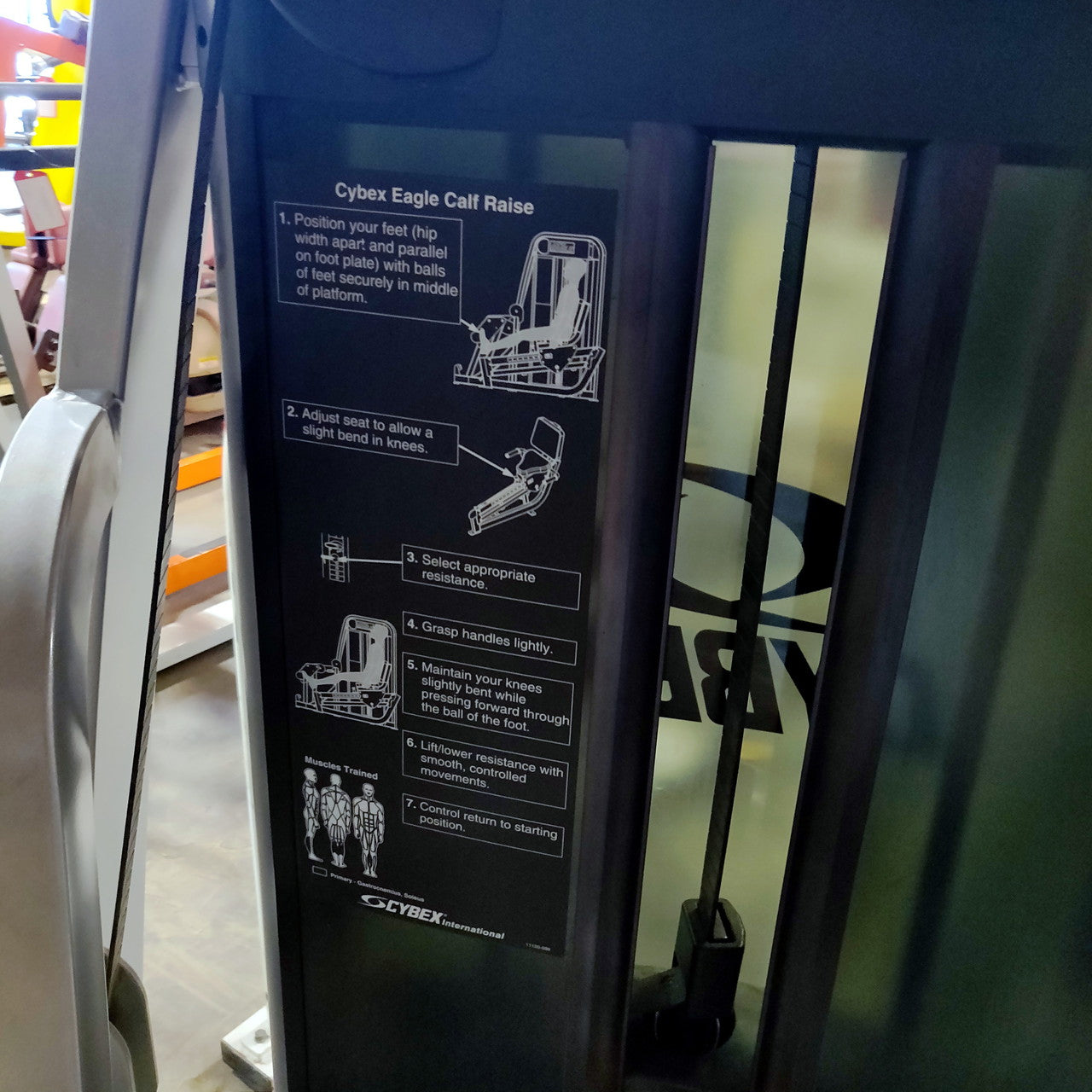 Cybex Eagle Calf Raise 11120