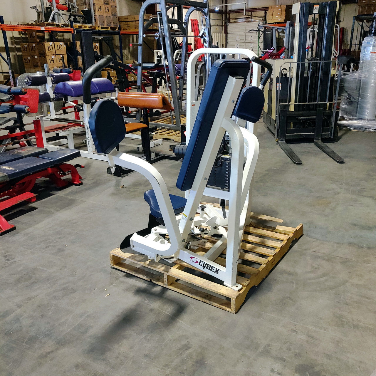 Cybex Fly Machine Selectorized
