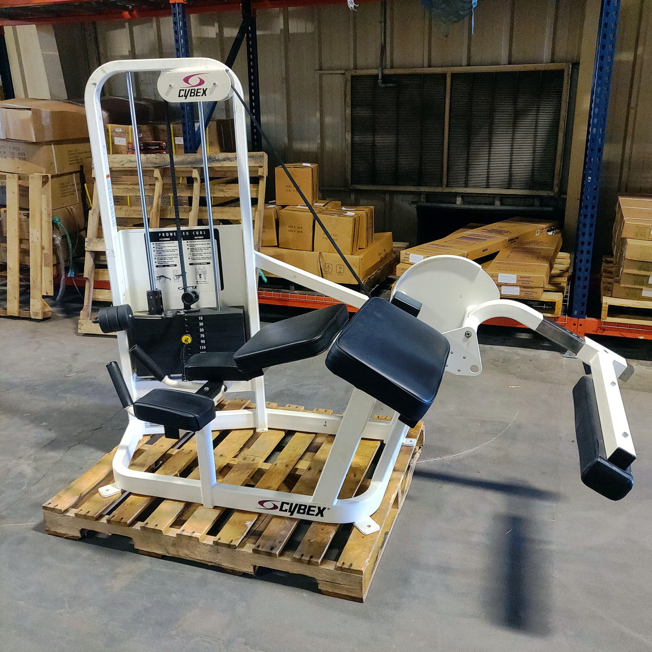 cybex leg Cybex Prone Leg Curl