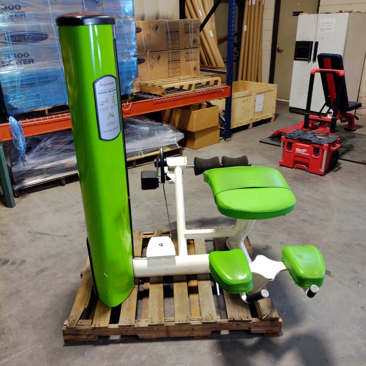 Freemotion Leg Curl Prone Lying