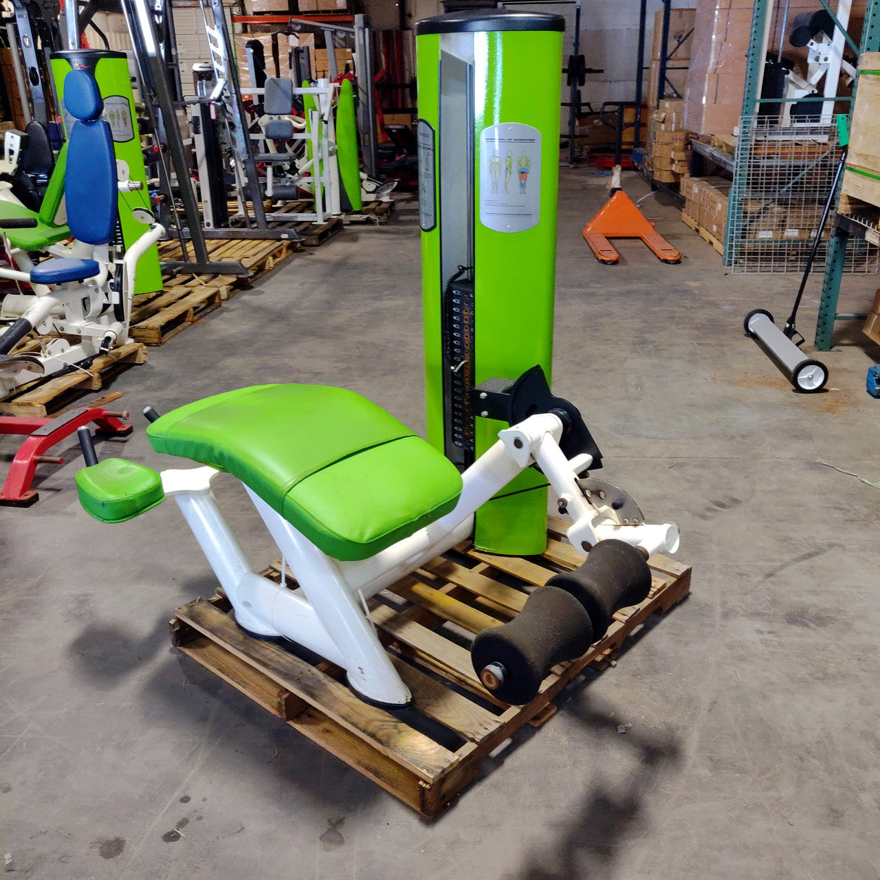 Freemotion Leg Curl Prone Lying