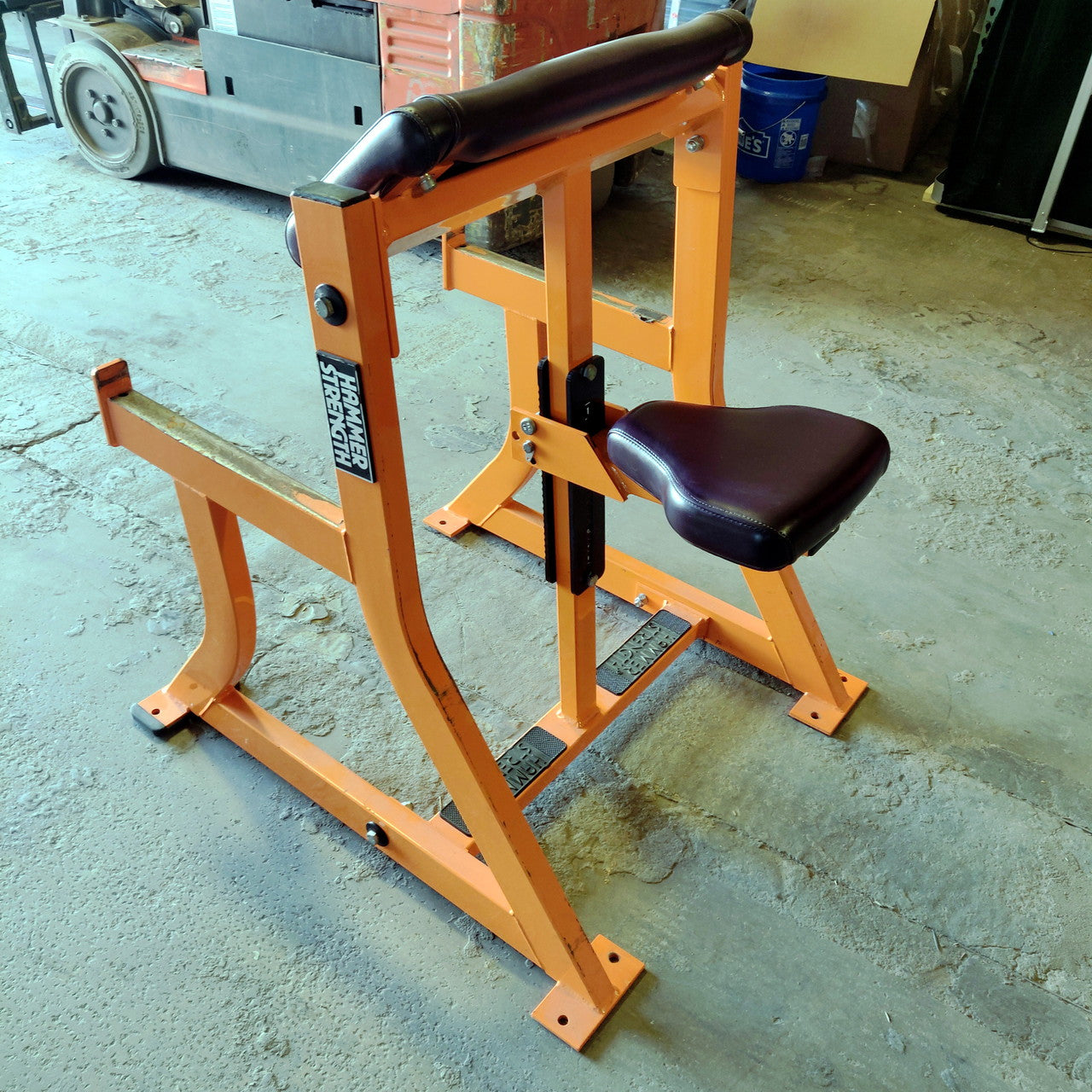 Hammer Strength Preacher Curl