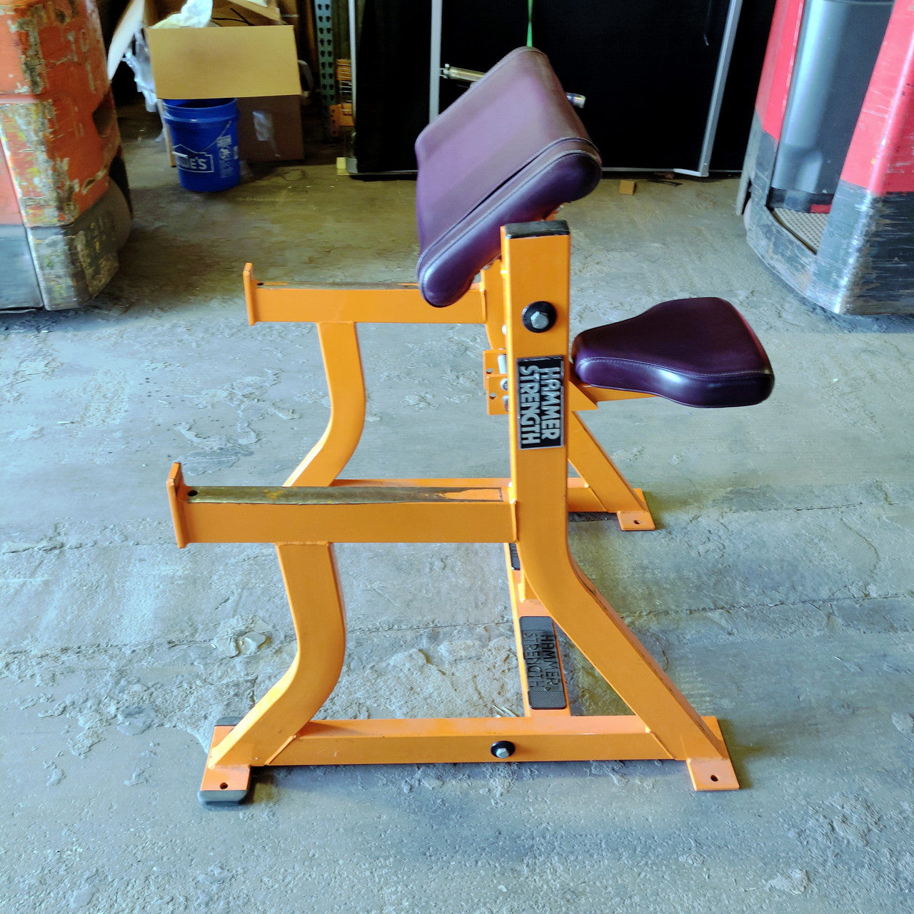 Hammer Strength Preacher Curl