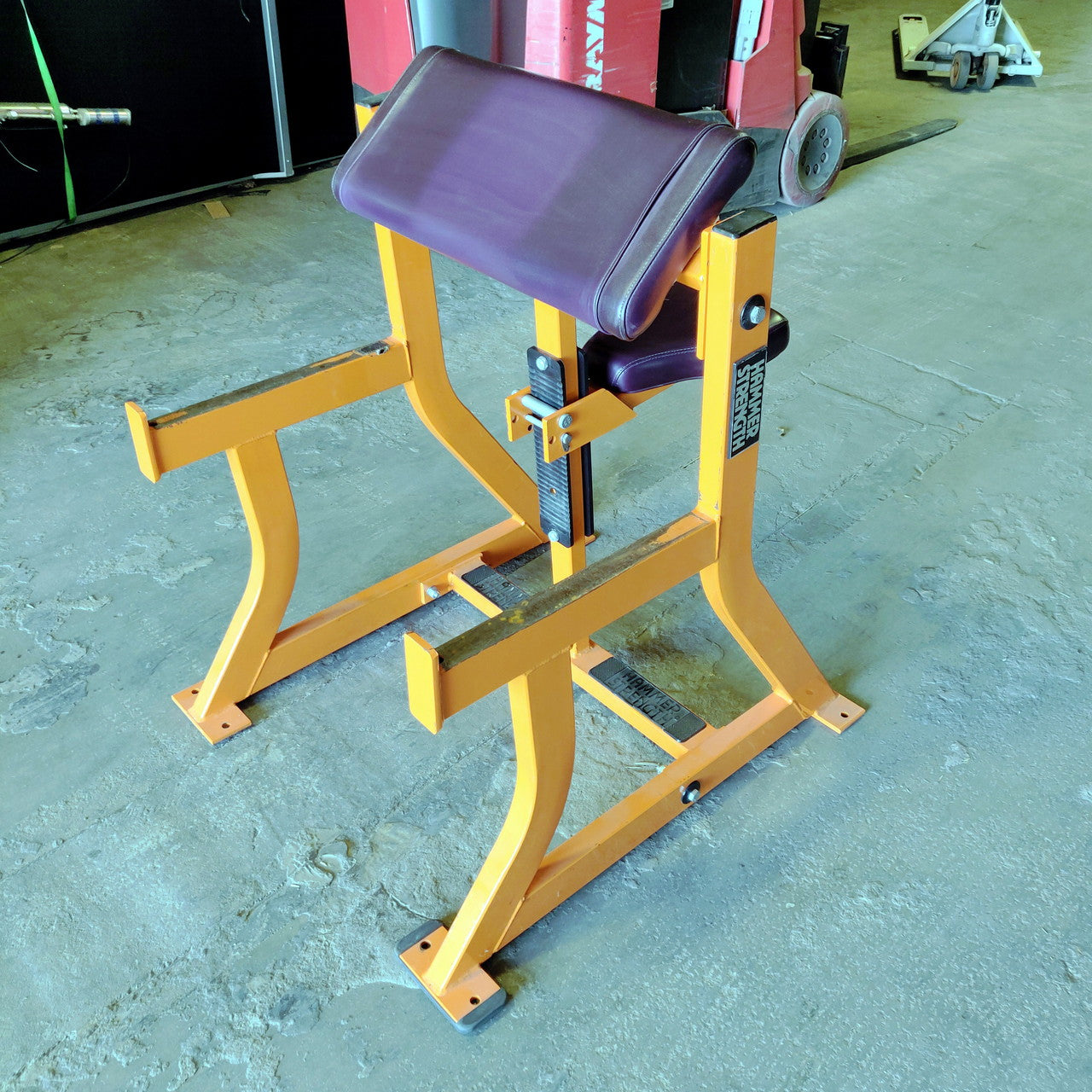 Hammer Strength Preacher Curl