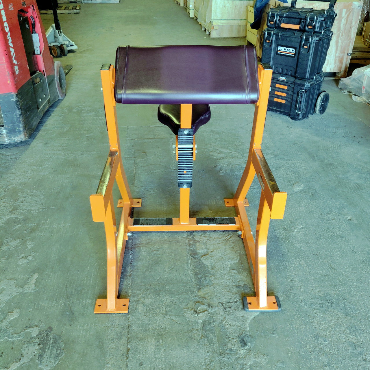 Hammer Strength Preacher Curl