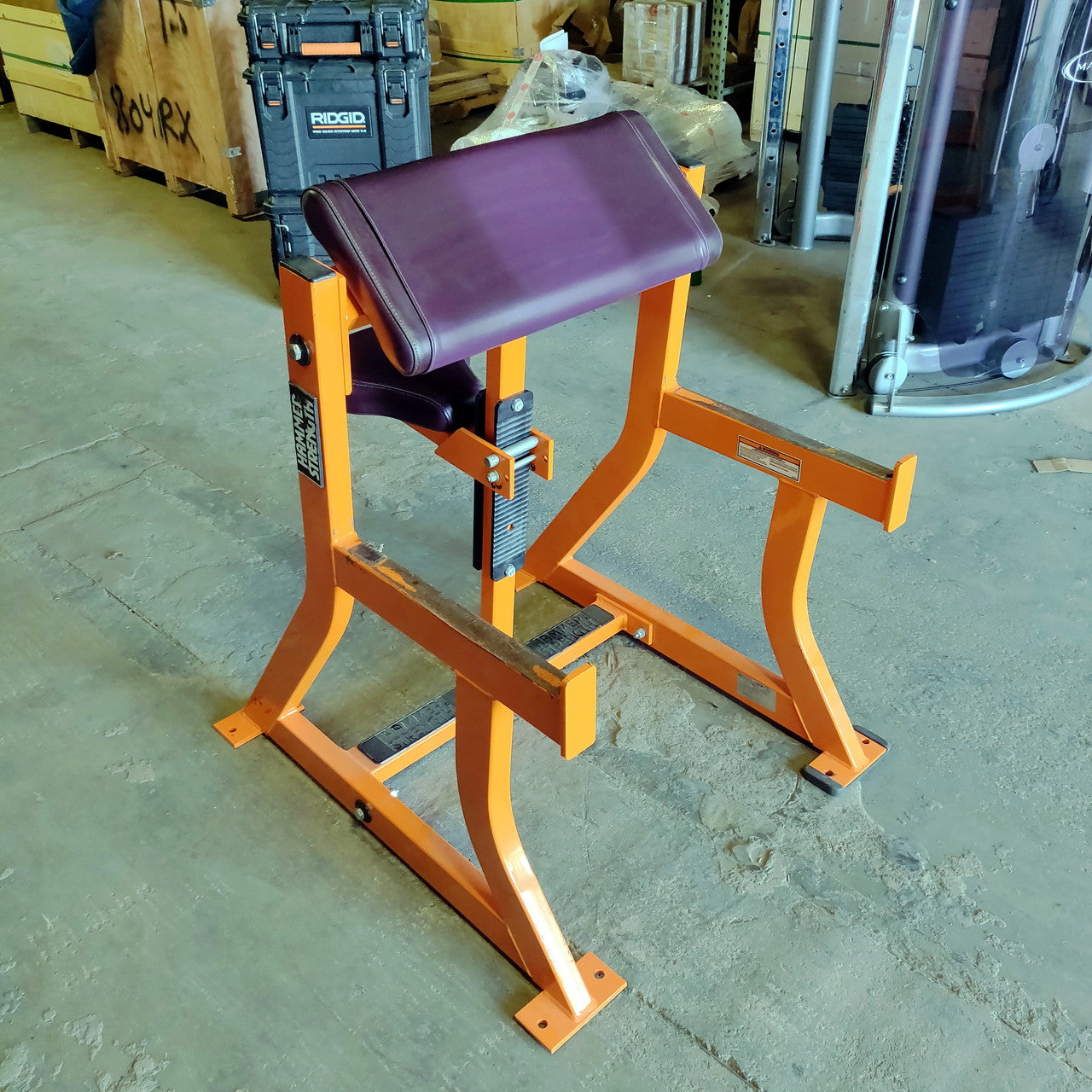 Hammer Strength Preacher Curl