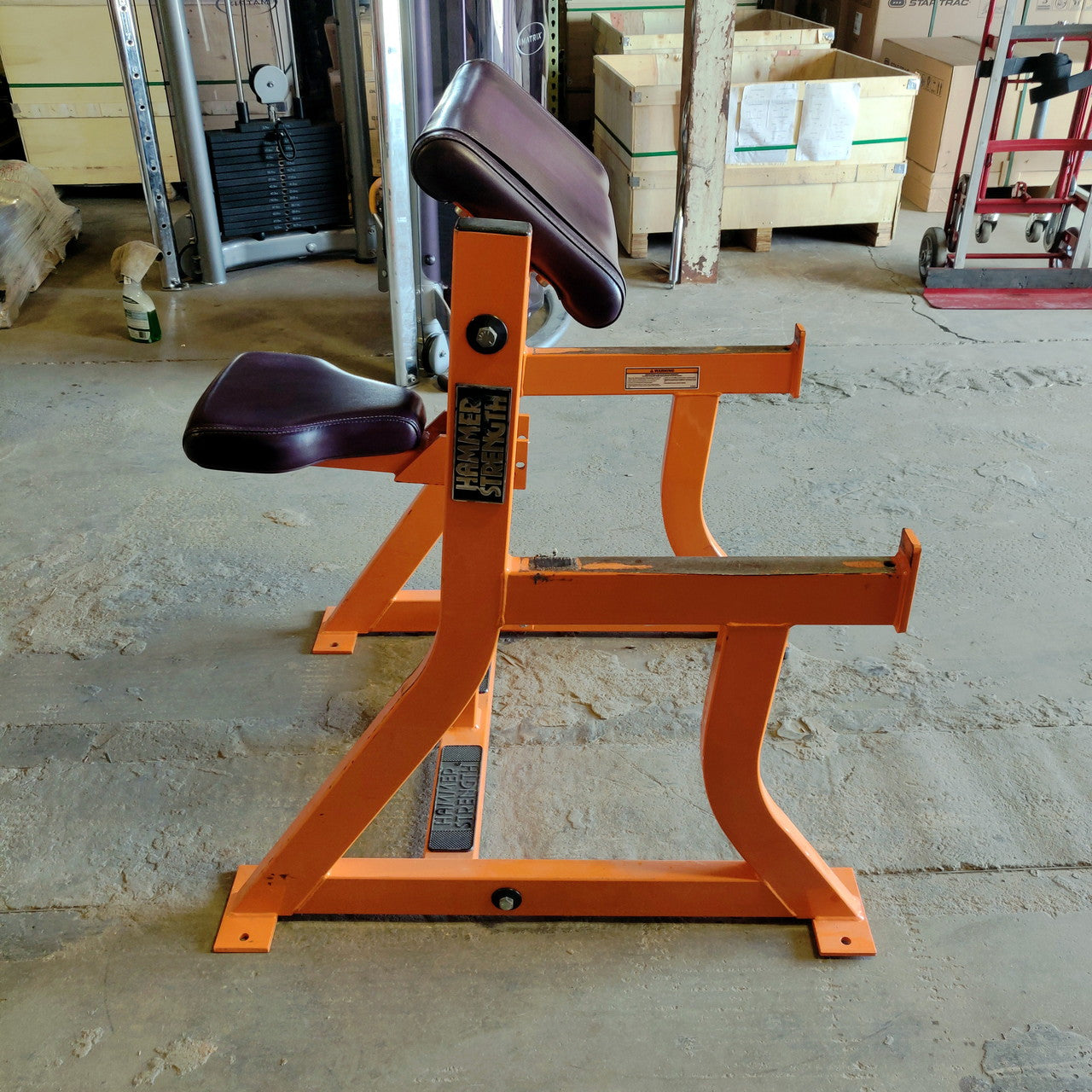 Hammer Strength Preacher Curl